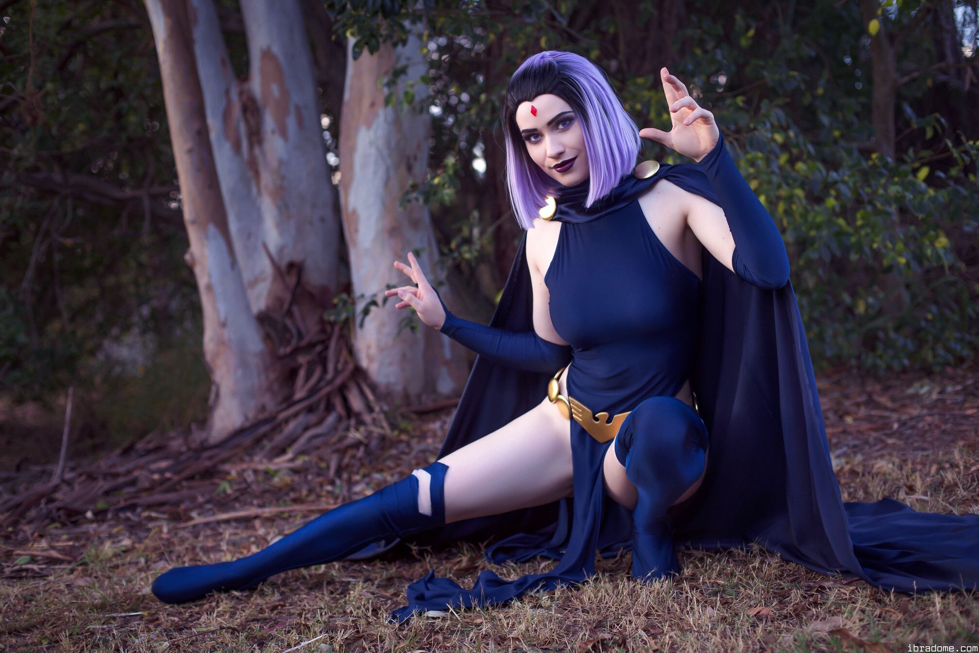 Nichameleon Raven 54005