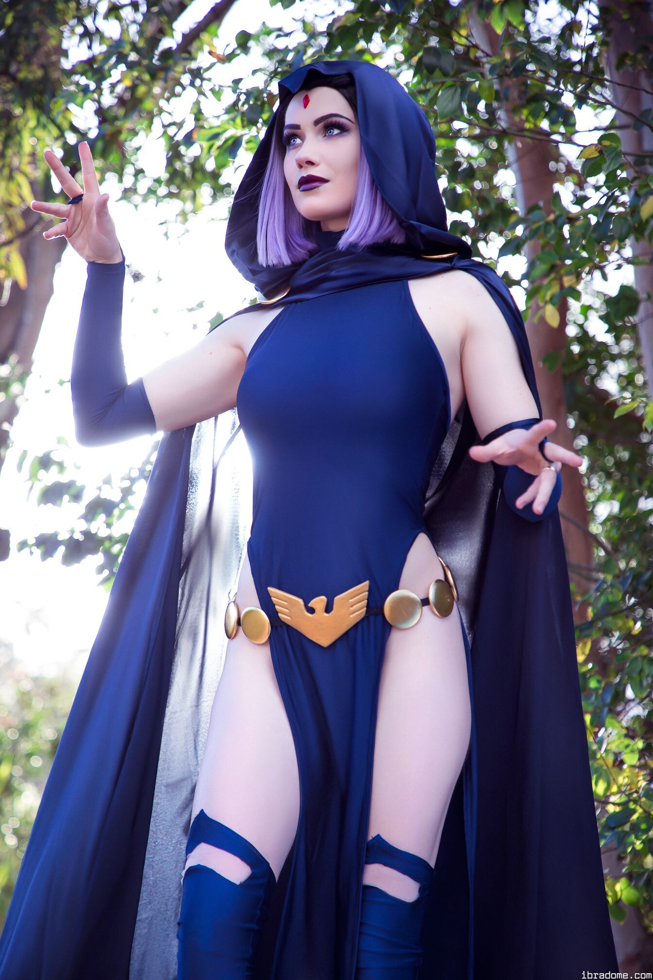 Nichameleon Raven 54006