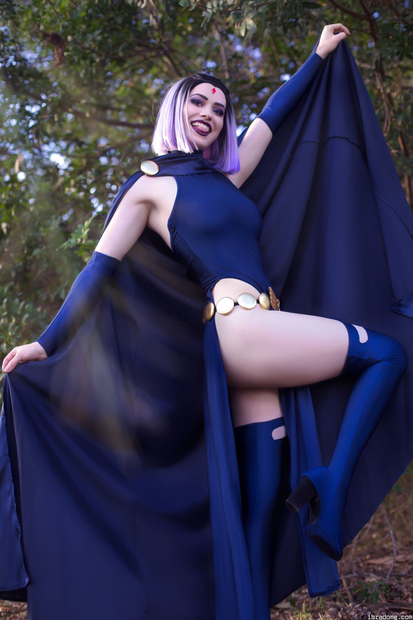 Nichameleon Raven 54008