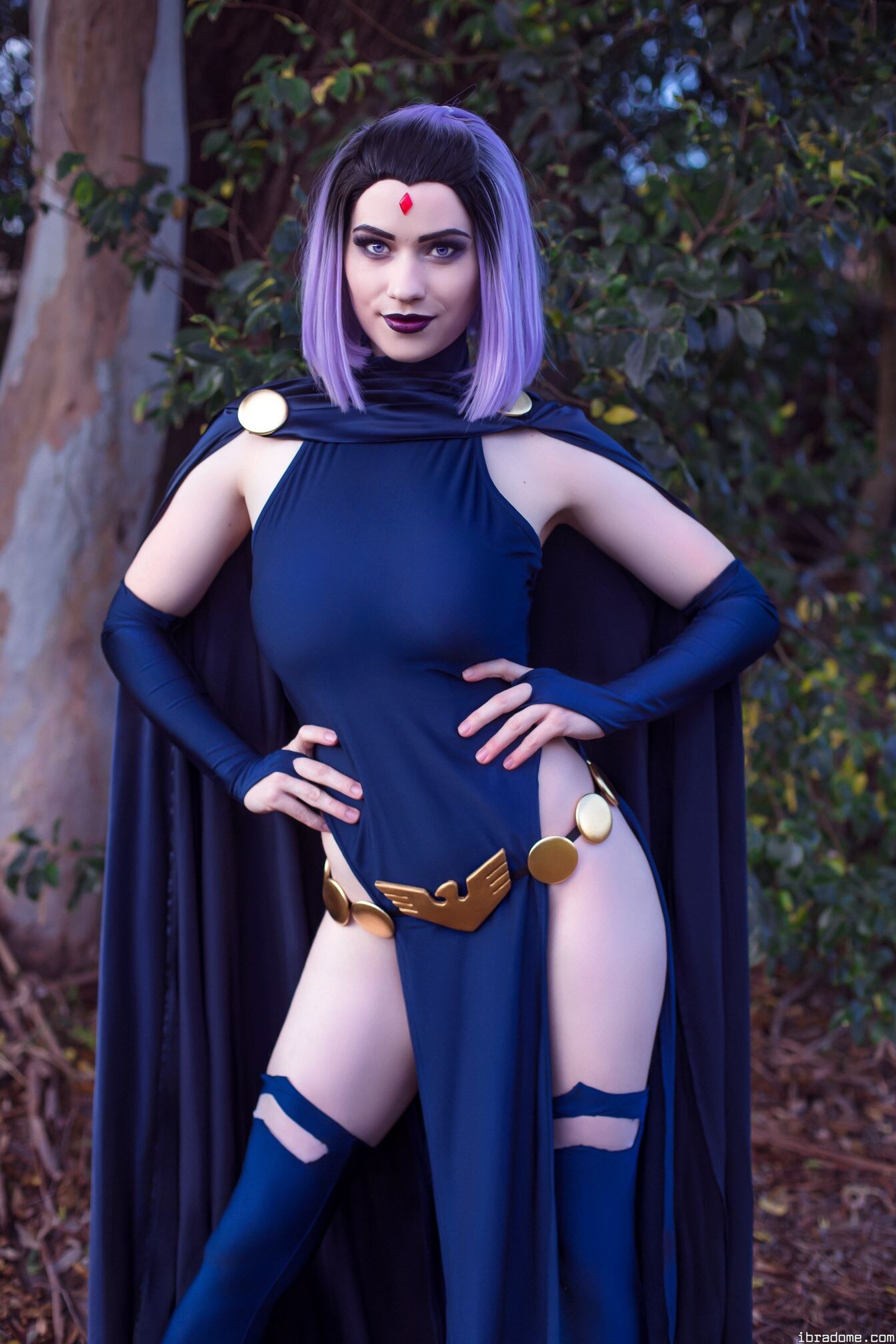 Nichameleon Raven 54012