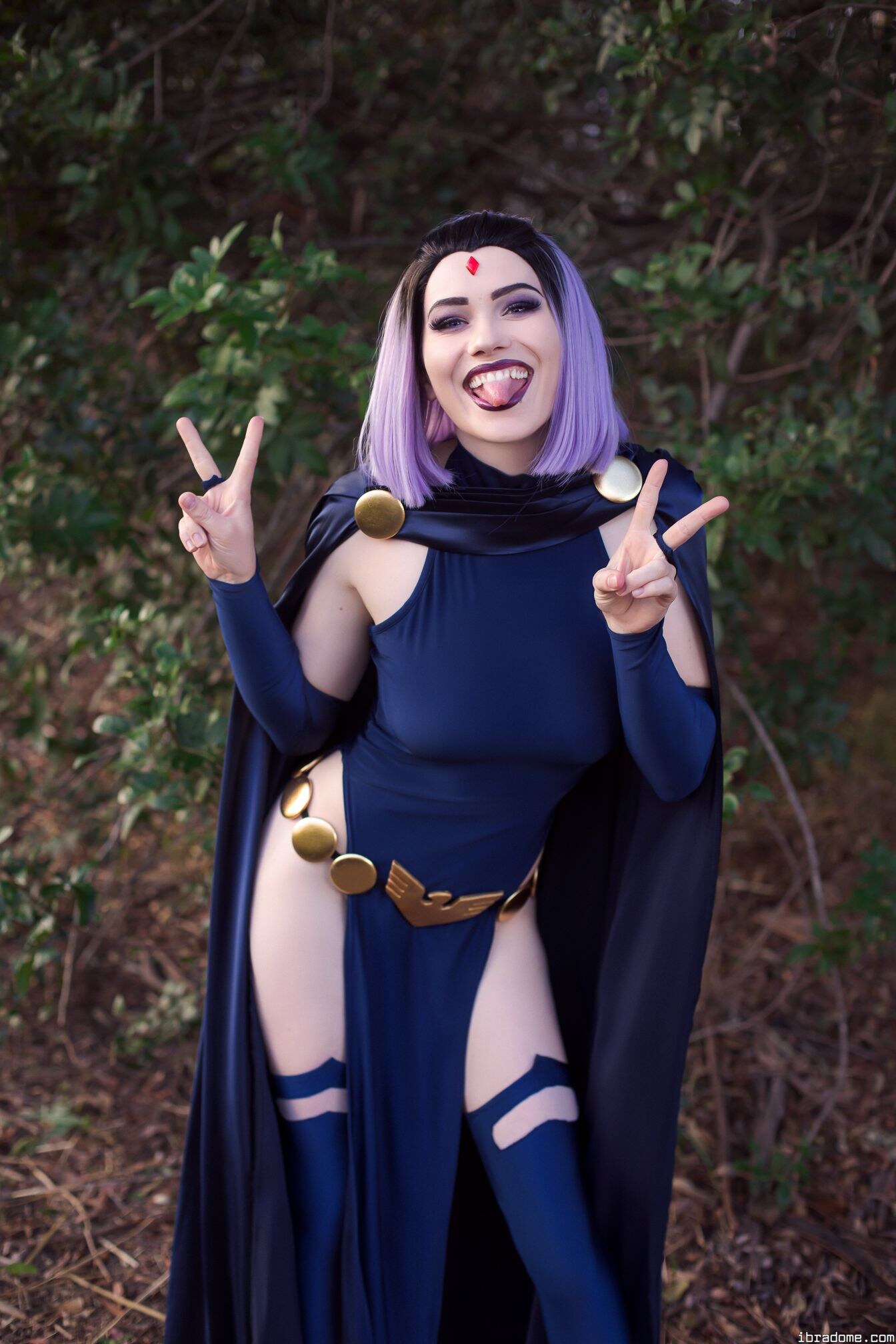 Nichameleon Raven 54013