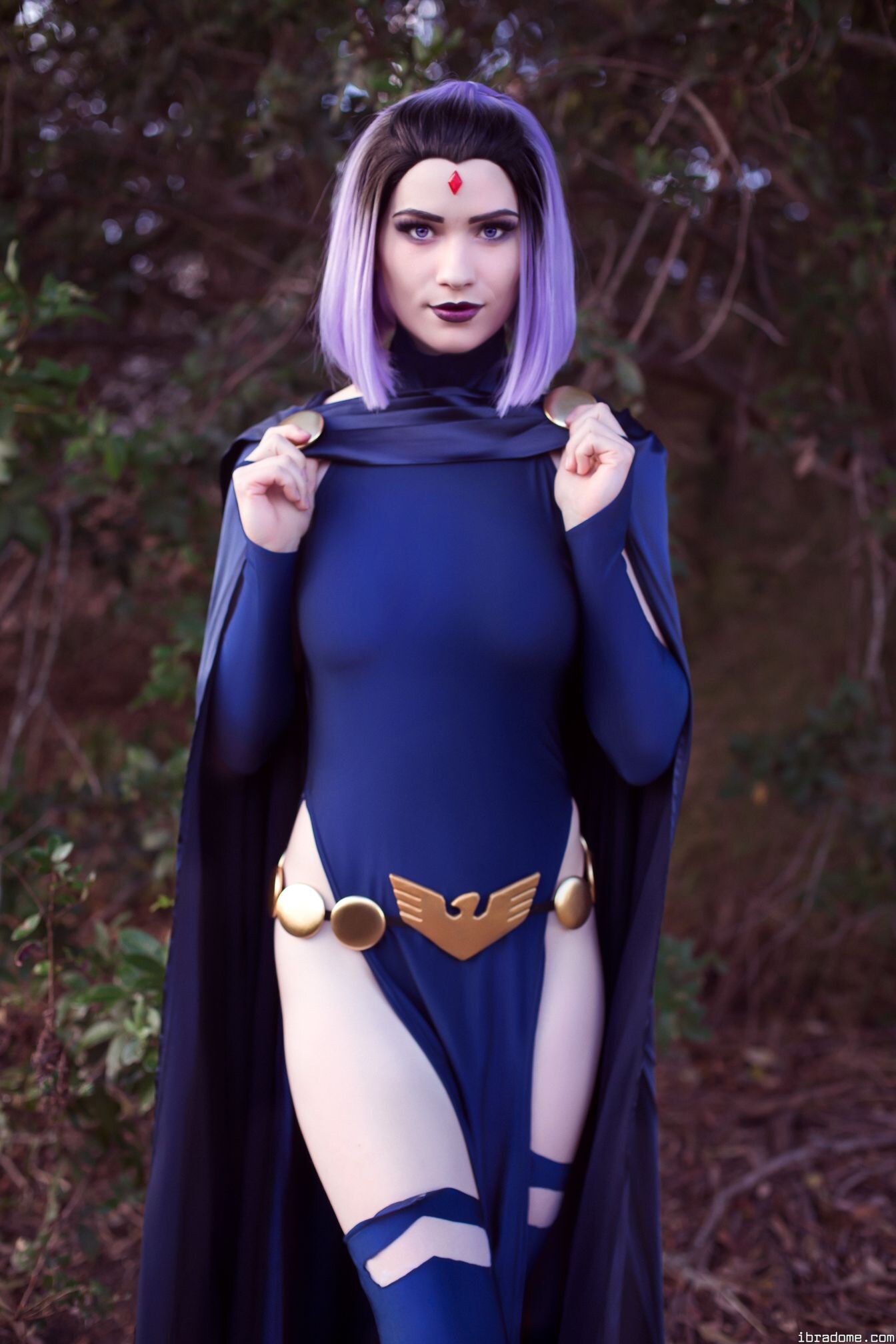 Nichameleon Raven 54014