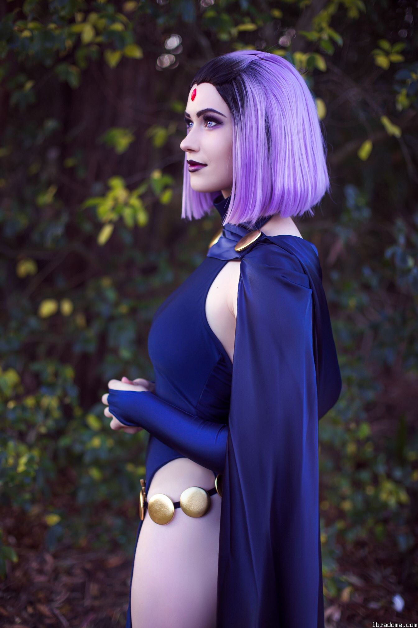 Nichameleon Raven 54018