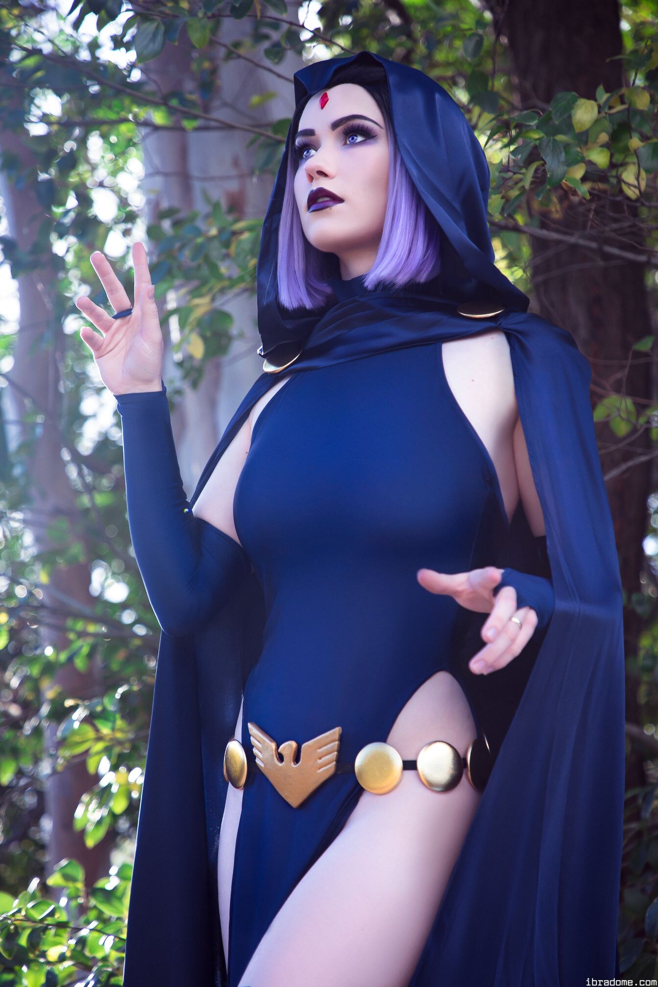 Nichameleon Raven 54030