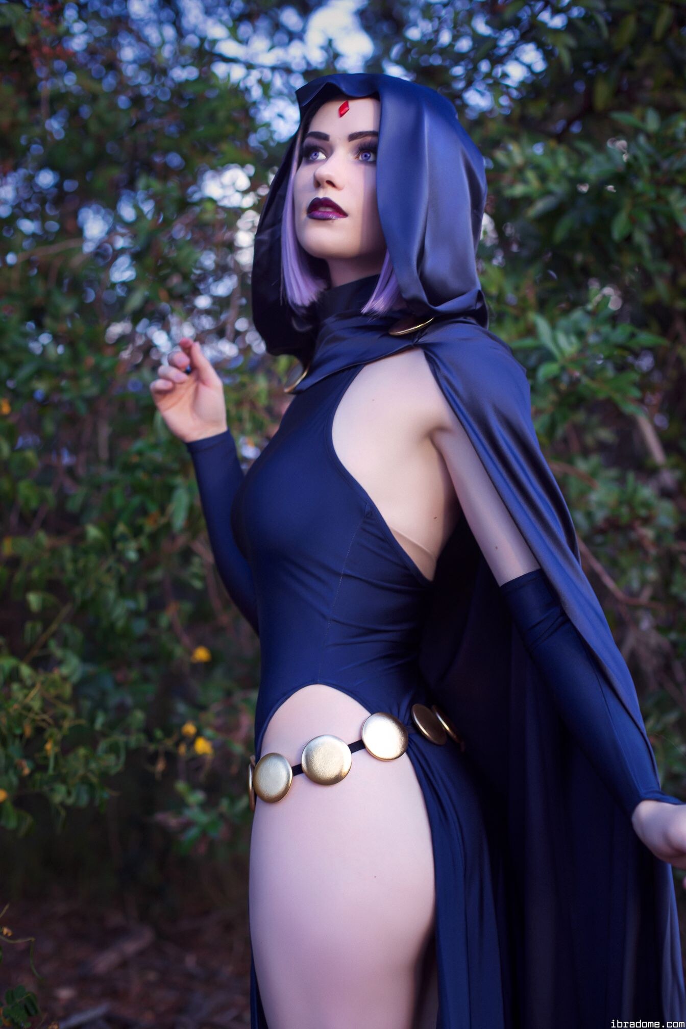 Nichameleon Raven 54035