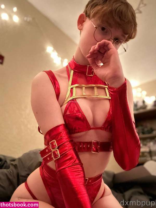 Dxmbpup OnlyFans Photos #15 258829