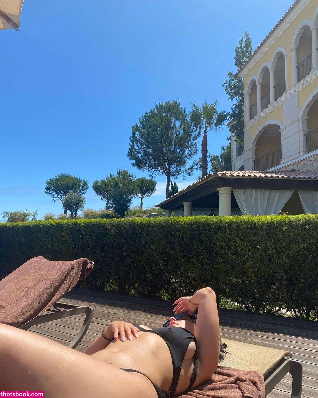 Kyotostars  raptora  doveIings Photos #15 258938