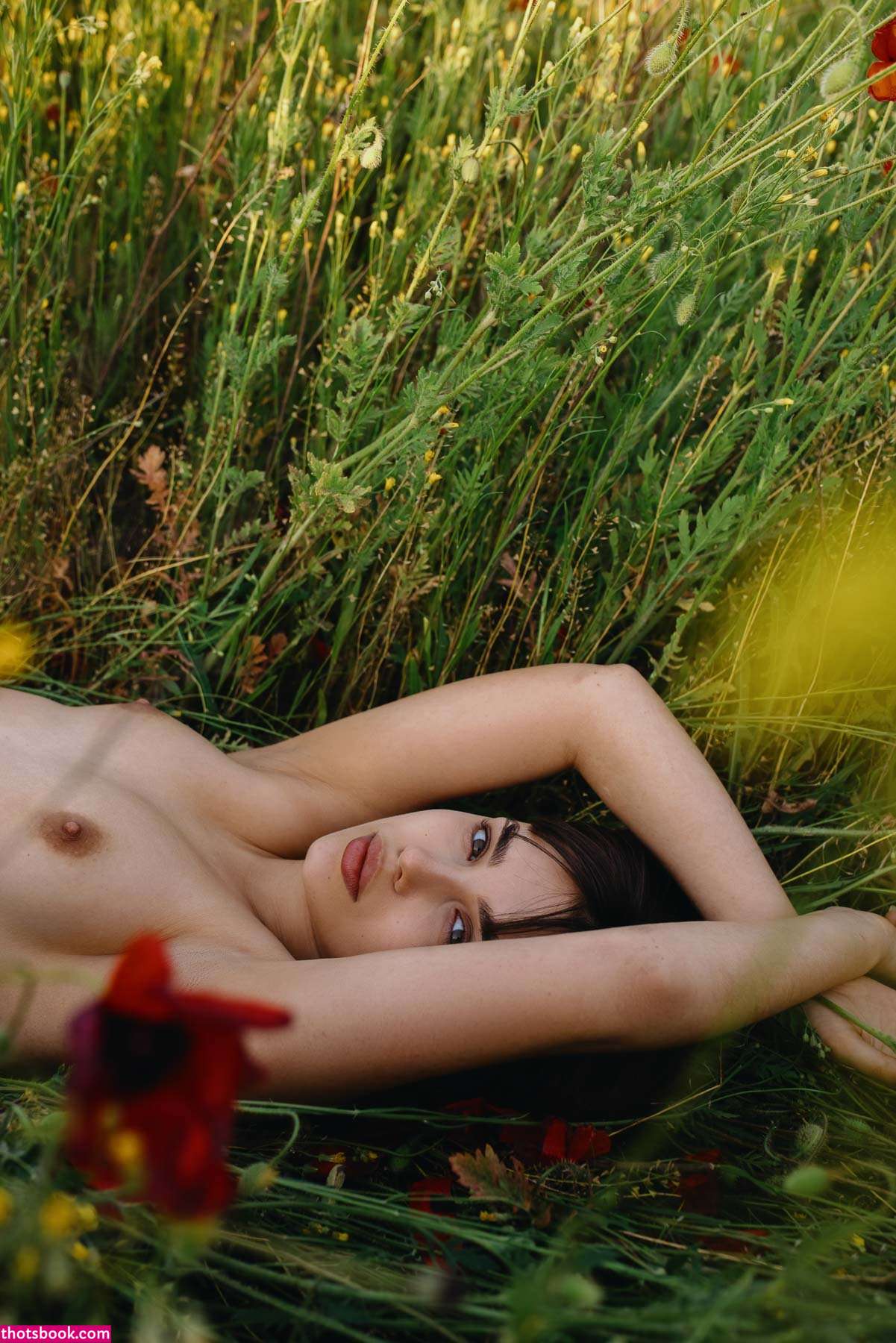 NemmyHorin  Lolek Photos #11 258065