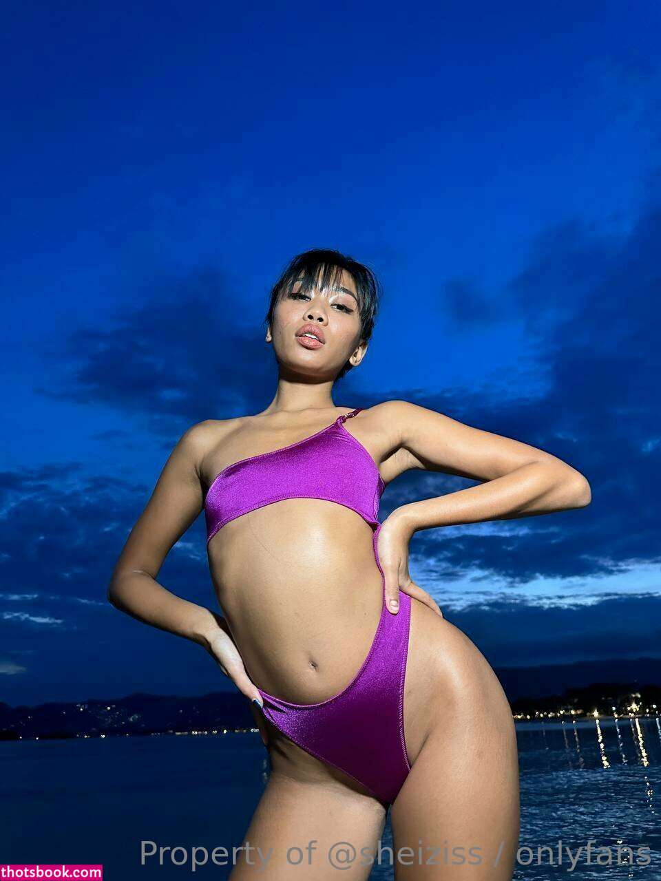 Sheiziss OnlyFans Photos #11 247839