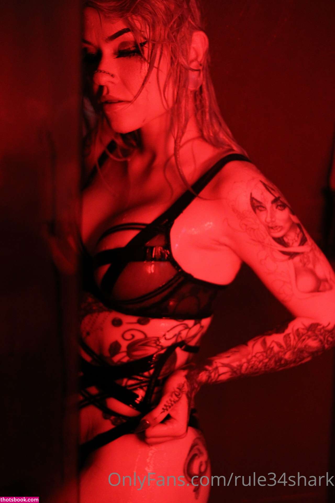 Holofox  rule34shark  holofox69 Photos #9 247036