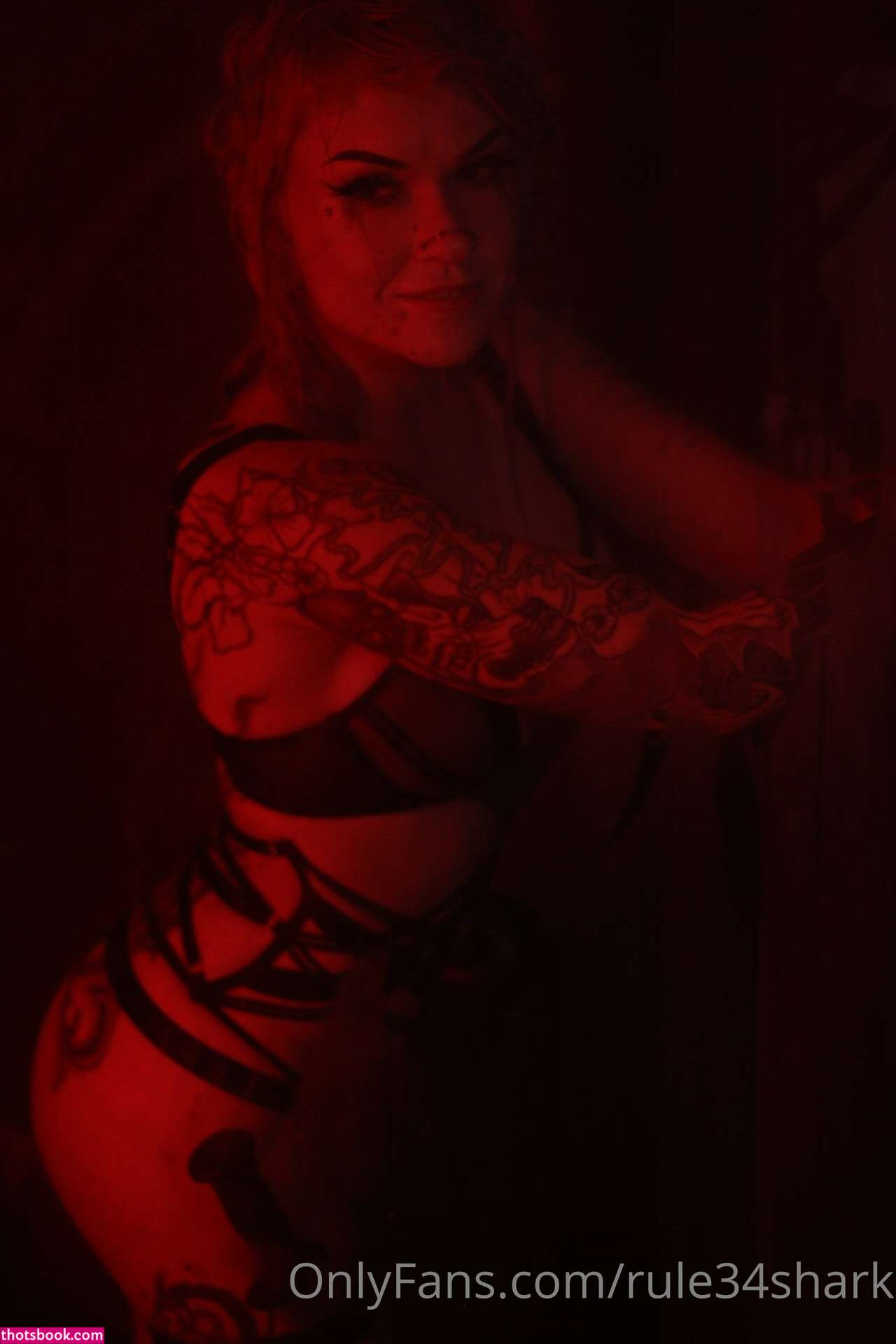 Holofox  rule34shark  holofox69 Photos #10 247041