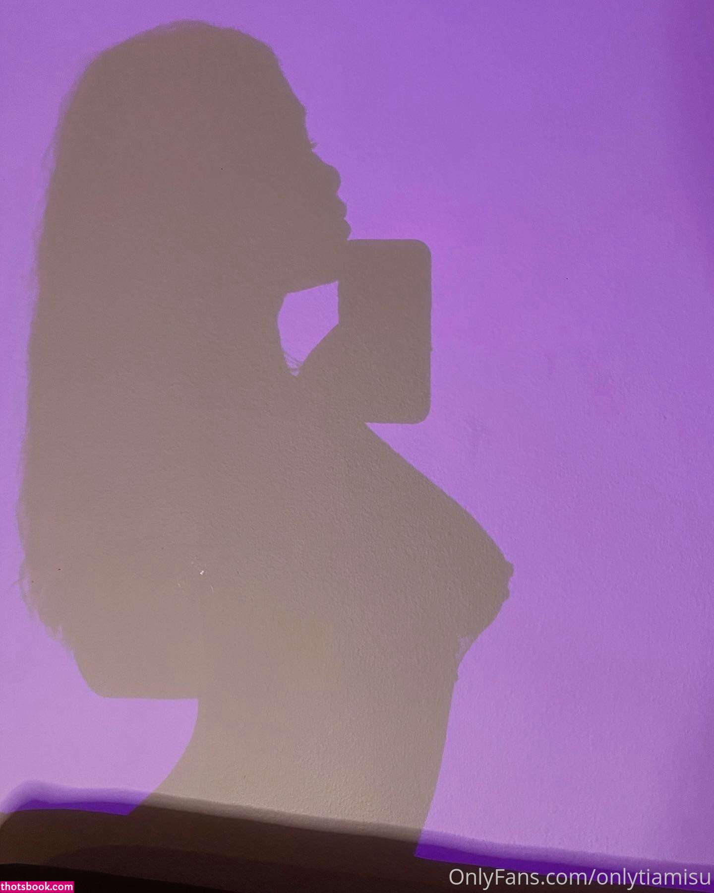 Tierramisu onlytiamisu Nude OnlyFans Photos #11 964118