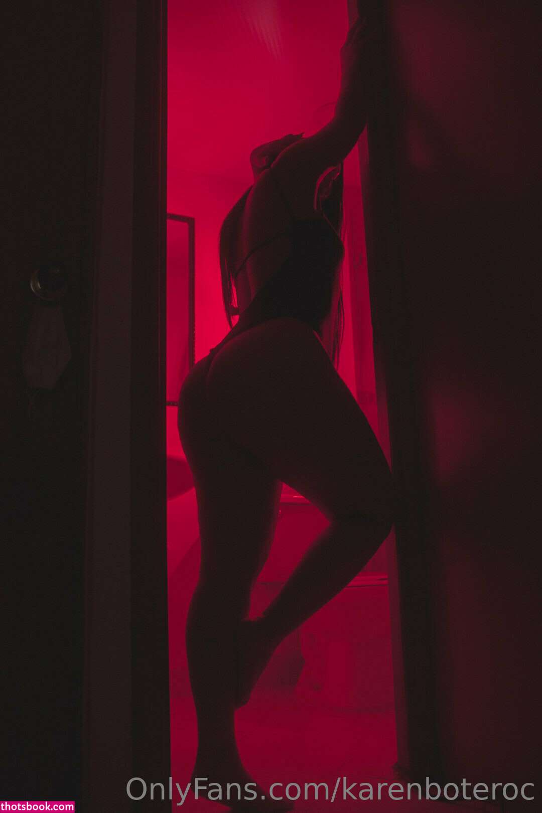 karenboteroc Nude OnlyFans Photos #15 997786