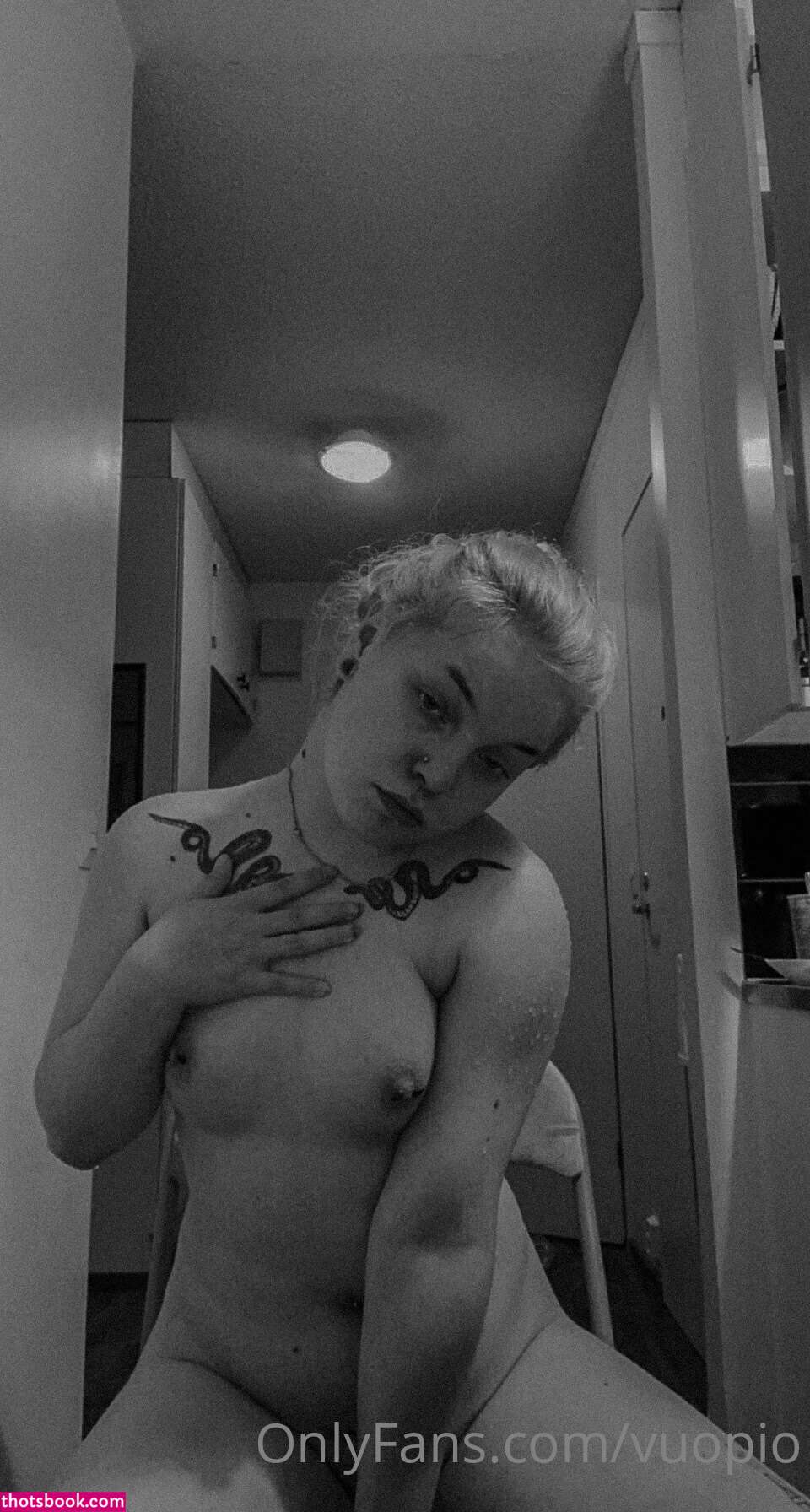 Linnea vuopio Nude OnlyFans Photos #11 997806