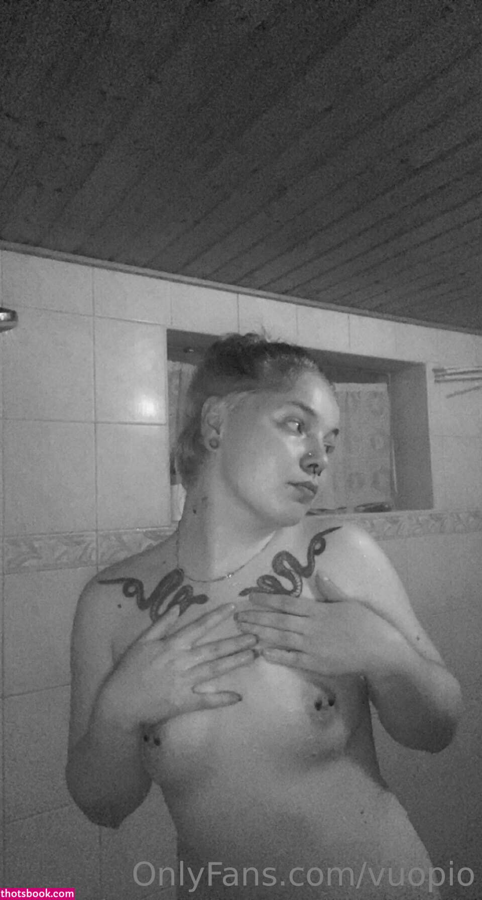 Linnea vuopio Nude OnlyFans Photos #15 997822