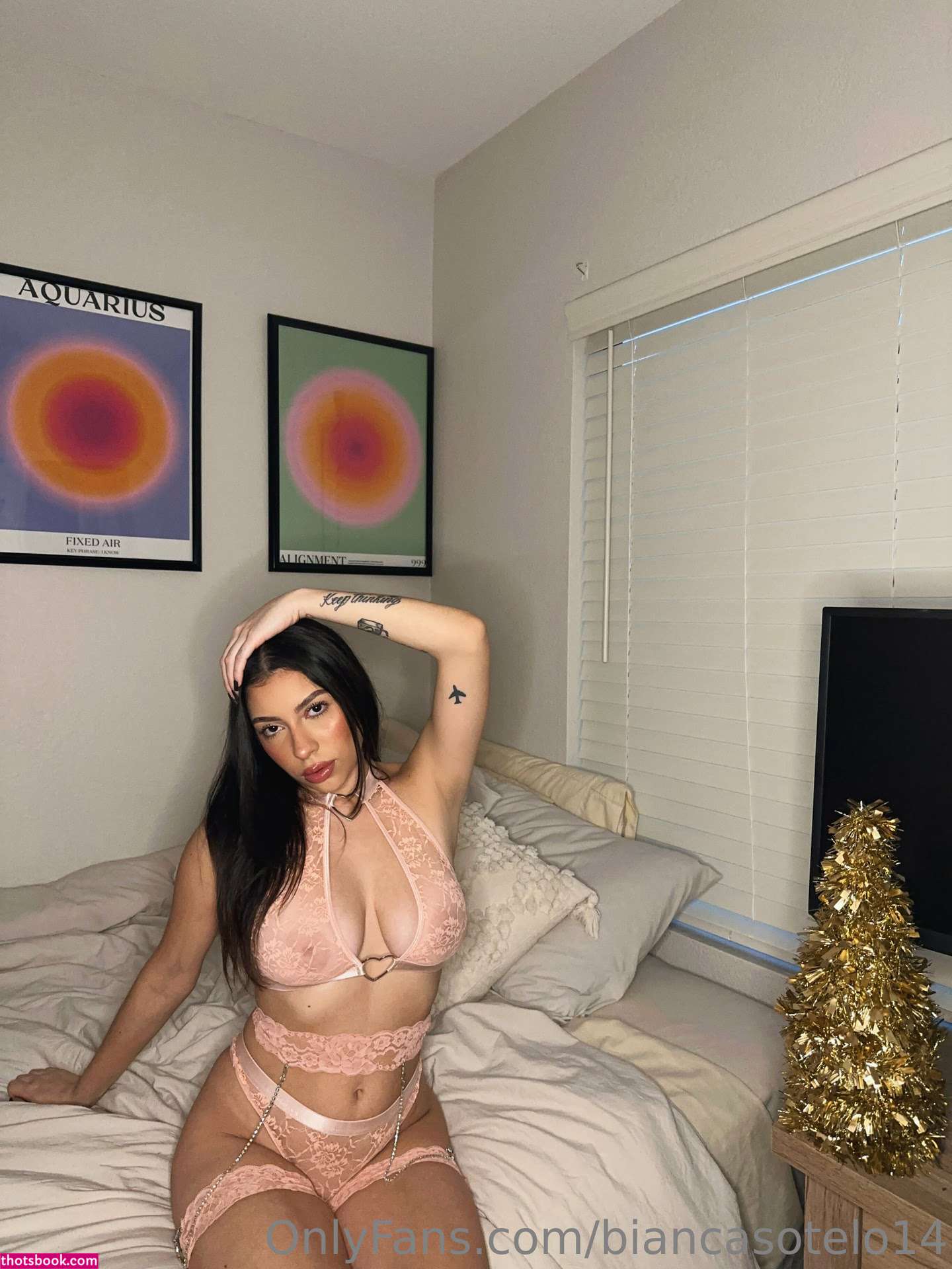 Bianca Sotelo biancasotelo14 Nude OnlyFans Photos #10 1005135