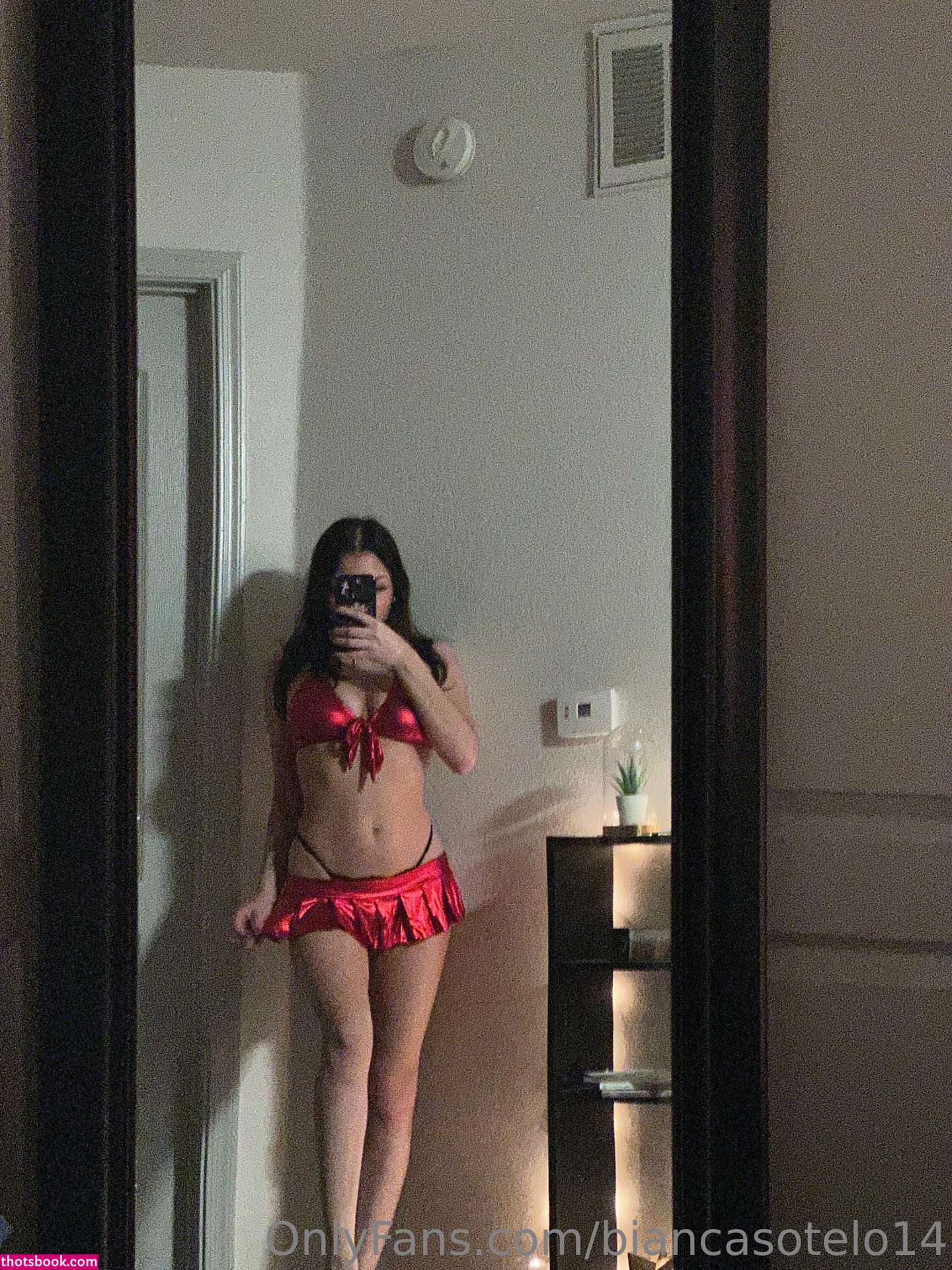 Bianca Sotelo biancasotelo14 Nude OnlyFans Photos #12 1005156