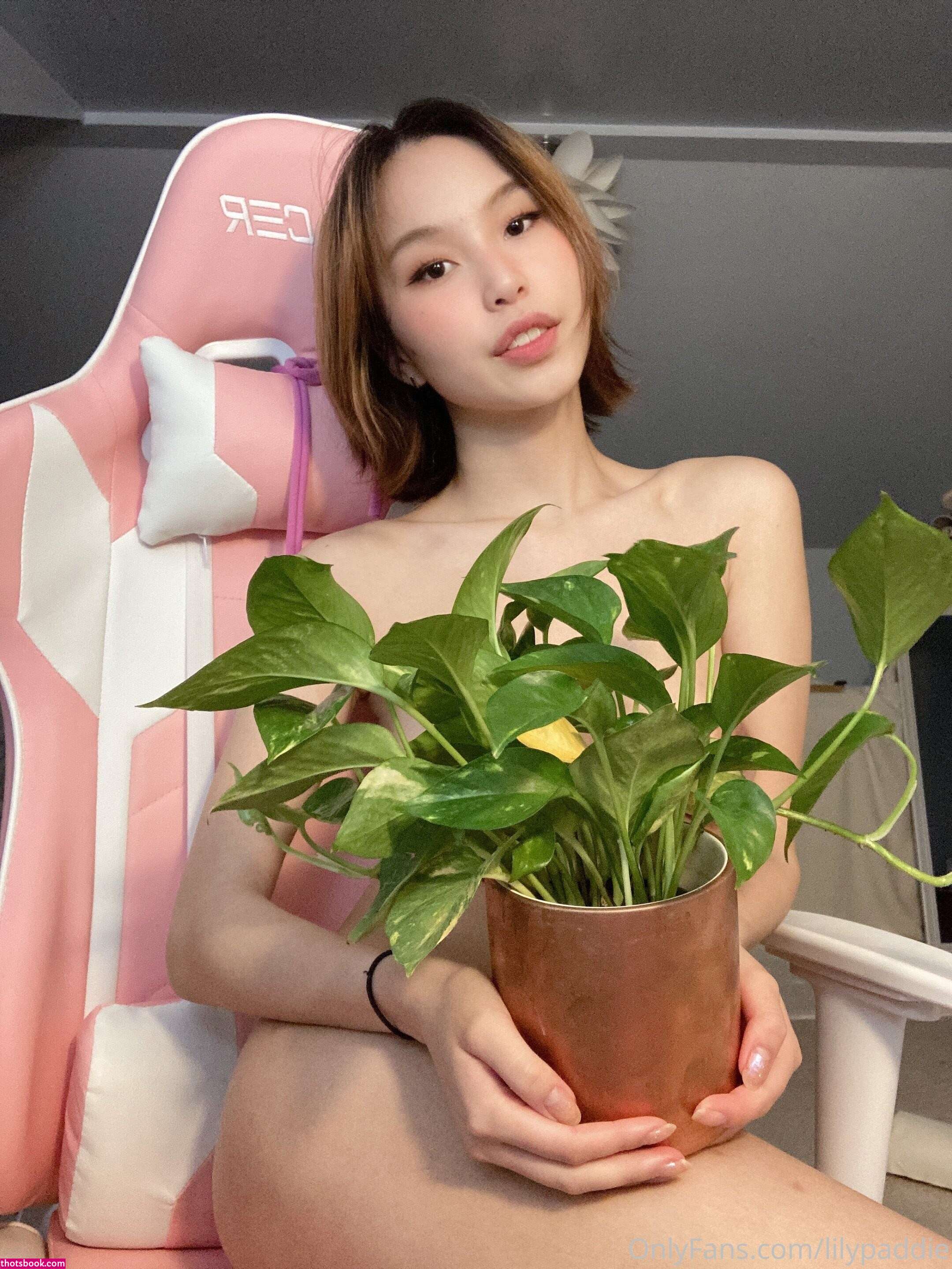 Lilypaddie animelily Nude OnlyFans Photos #13 965716