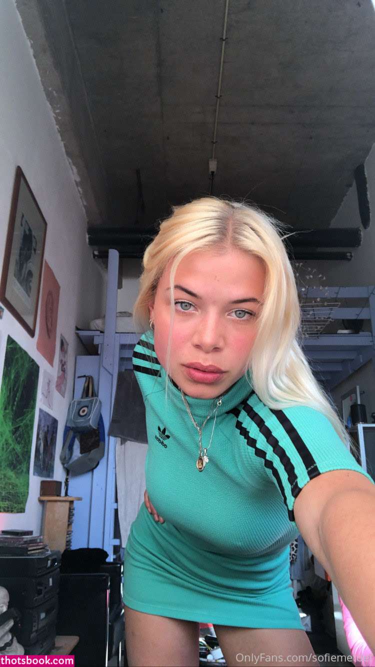 Sofie Wortelboer Sofiemetdef Nude OnlyFans Photos #14 982725