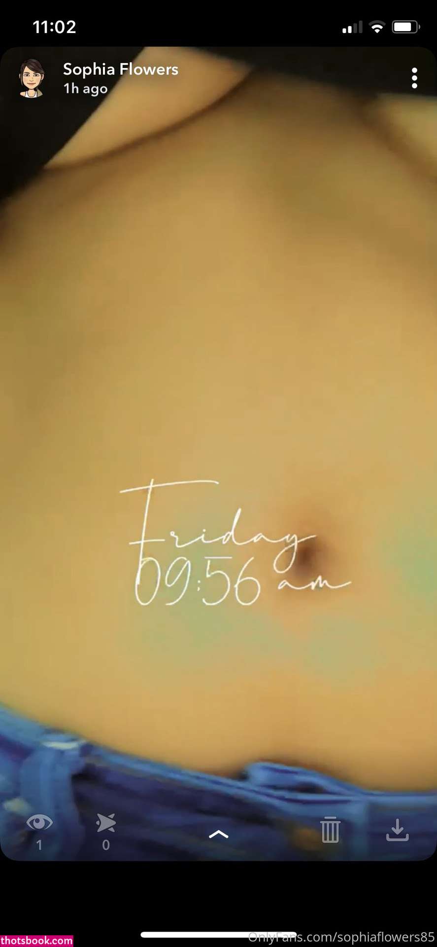 sophiatheminx Nude OnlyFans Photos #3 999802