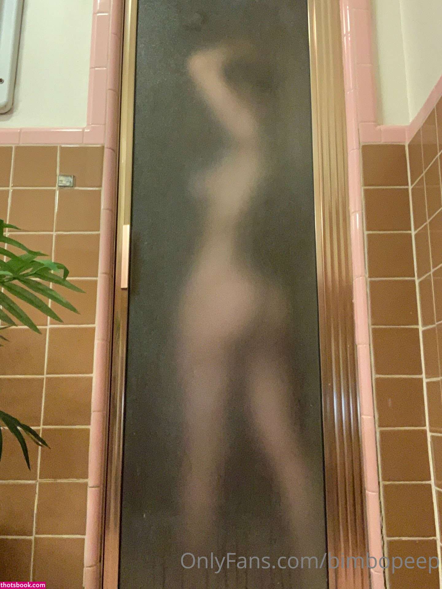 bimbopeep Nude OnlyFans Photos #14 1034471