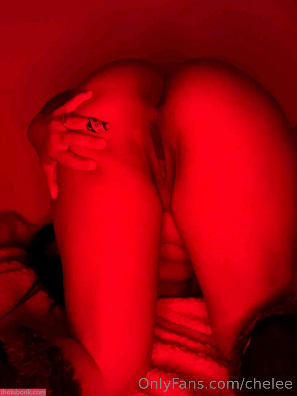 Chelee Nude OnlyFans Photos #9 1034566