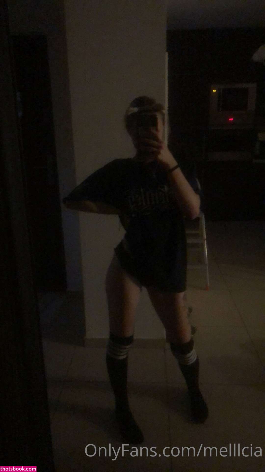 melllcia 6d6vil6 Nude OnlyFans Photos #3 991813