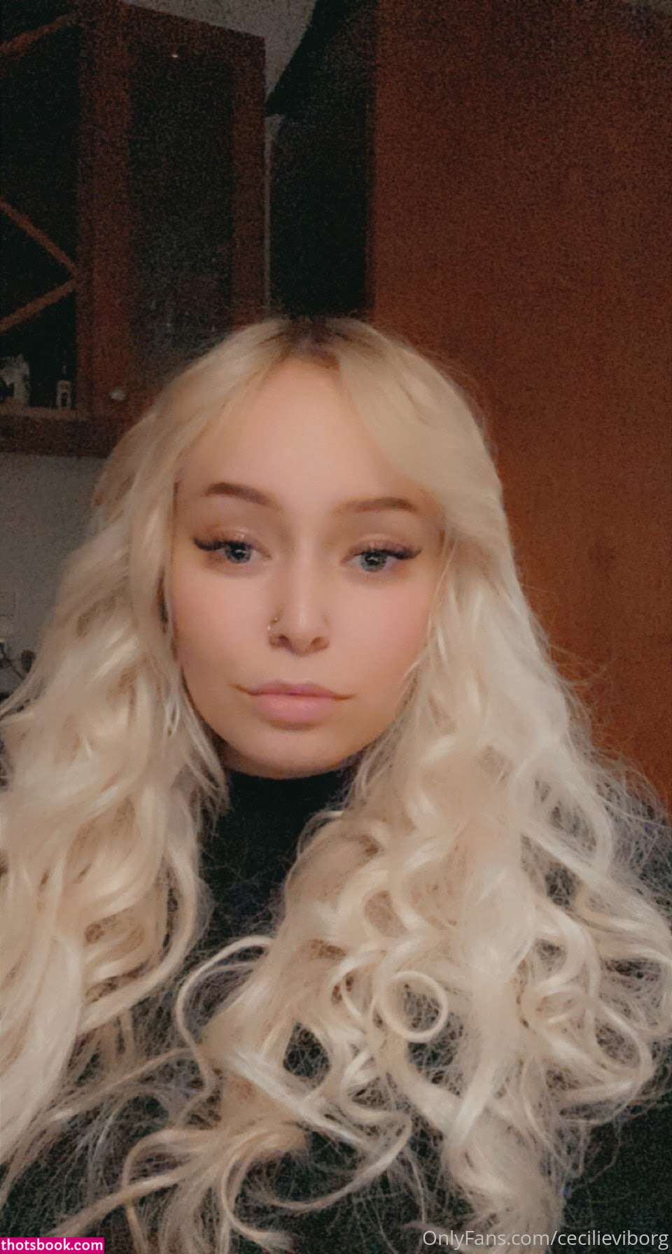 Cecilie Viborg Linnemann Cille bby lovefromc Nude OnlyFans Photos #7 993863