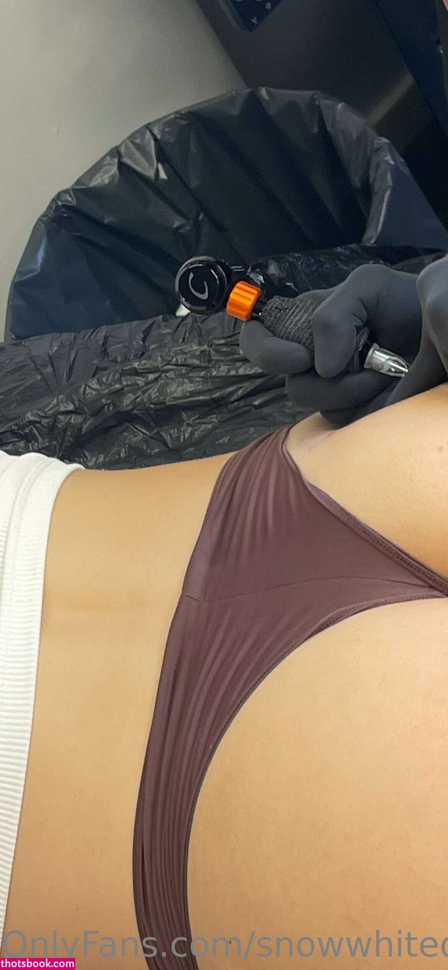 SnowWhiteDK Danish Snowbunny Nude OnlyFans Photos #12 995658