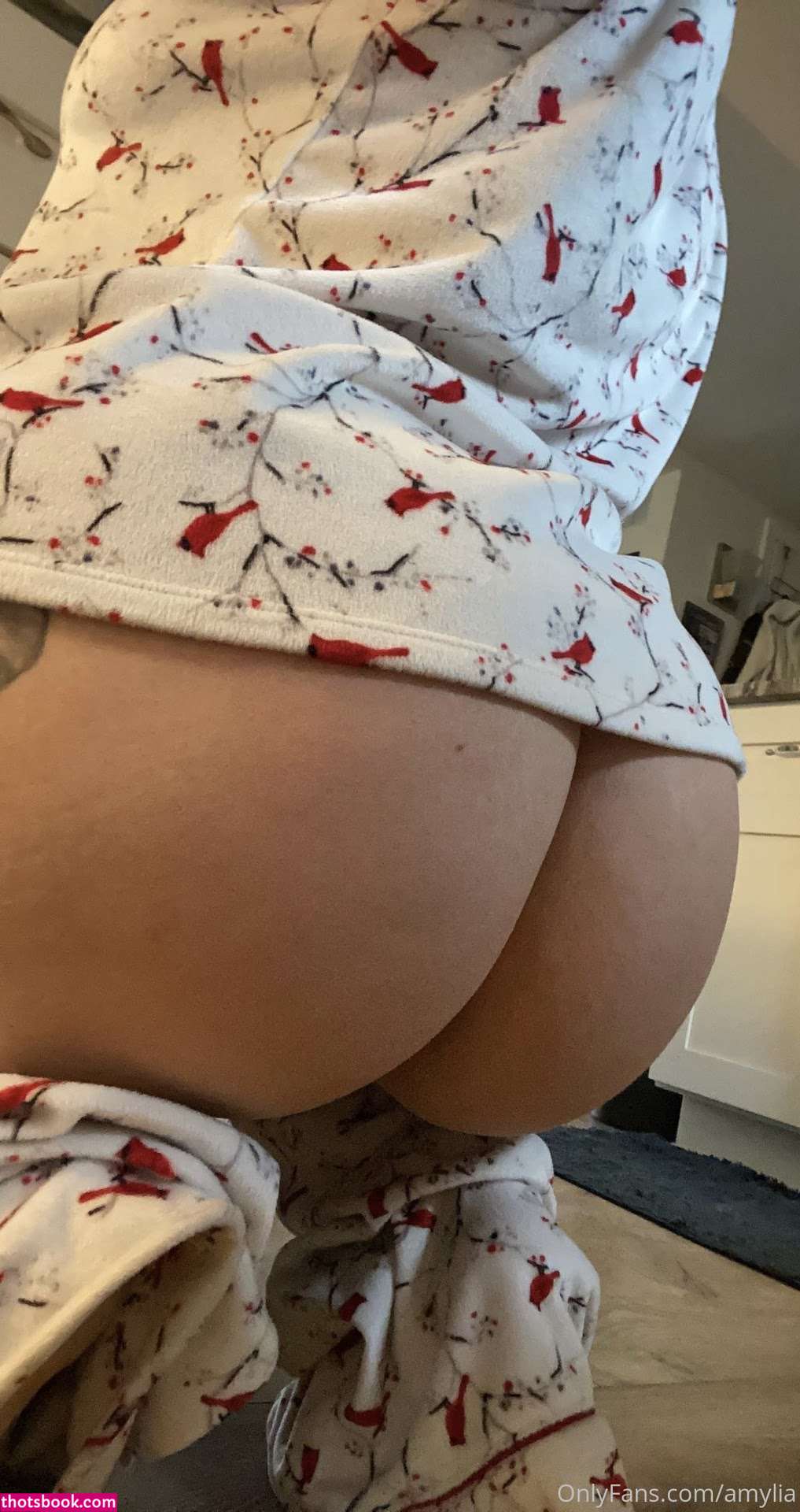 Ajmodel93 amylia beautywithaj Nude OnlyFans Photos #2 1028280