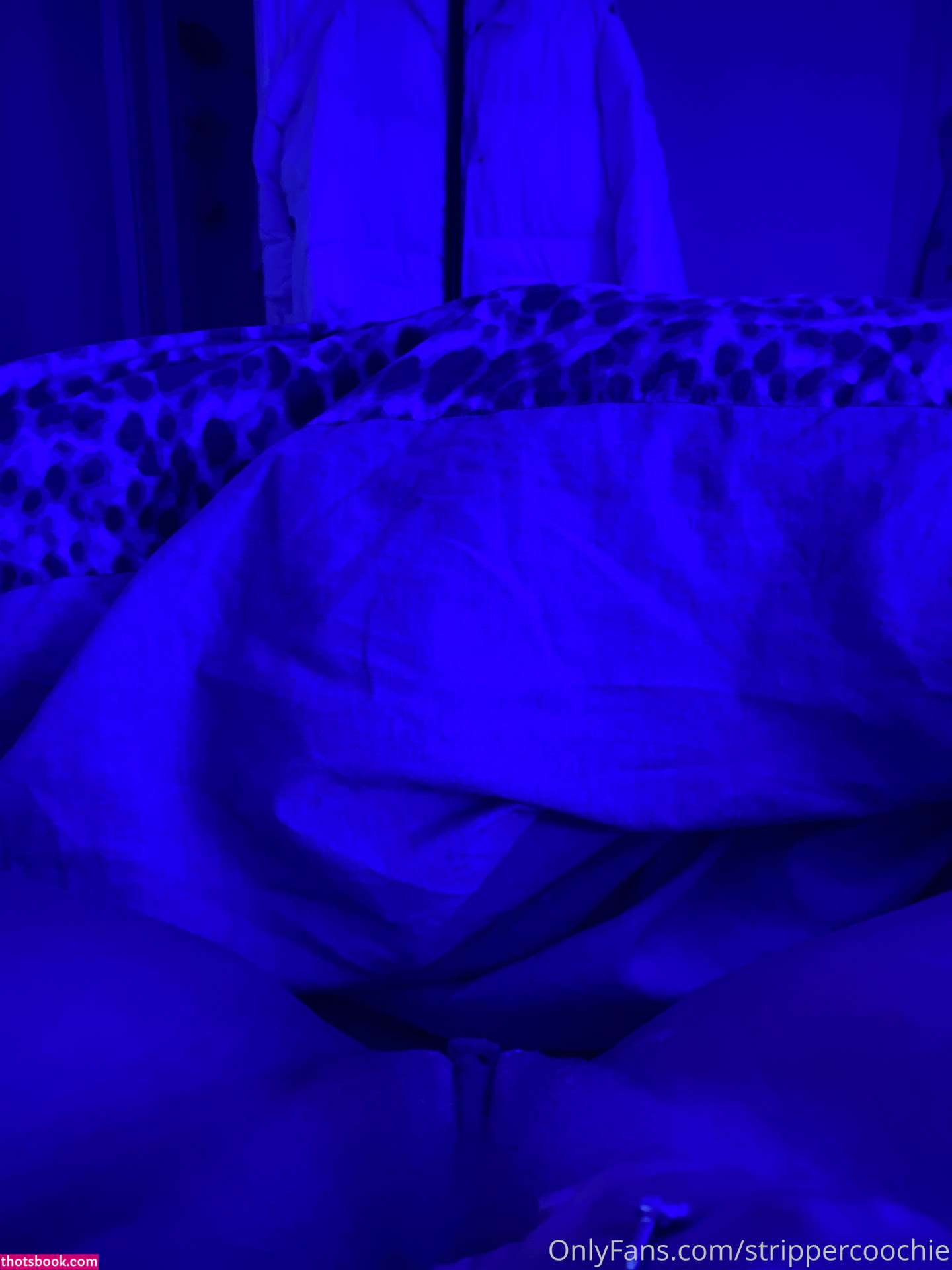 Mel Farahmand strippercoochie Nude OnlyFans Photos #3 1028806