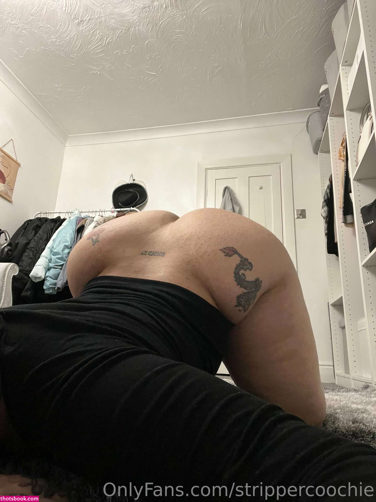 Mel Farahmand strippercoochie Nude OnlyFans Photos #7 1028846