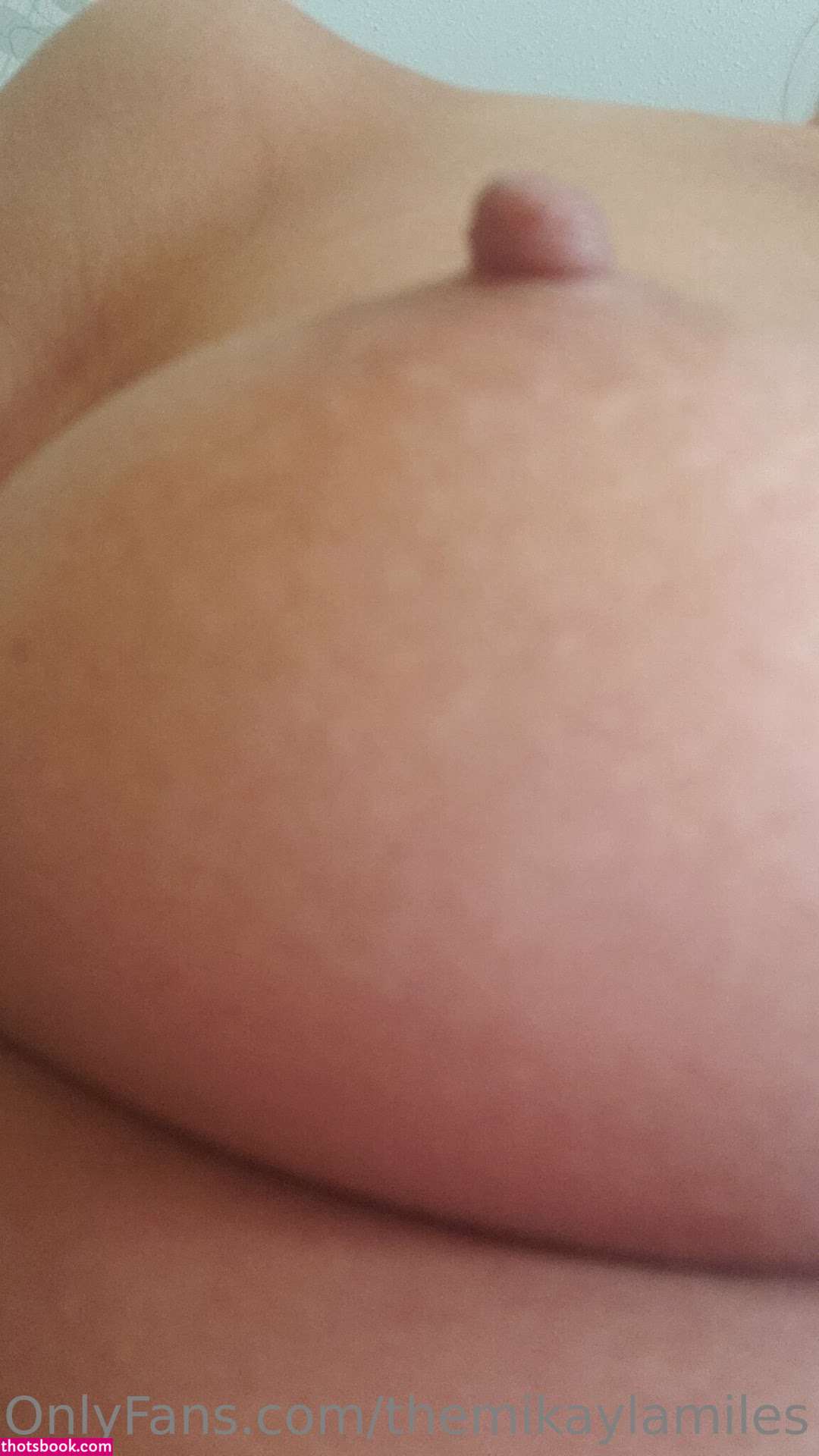 TheMikaylaMiles Nude OnlyFans Photos #4 1029416