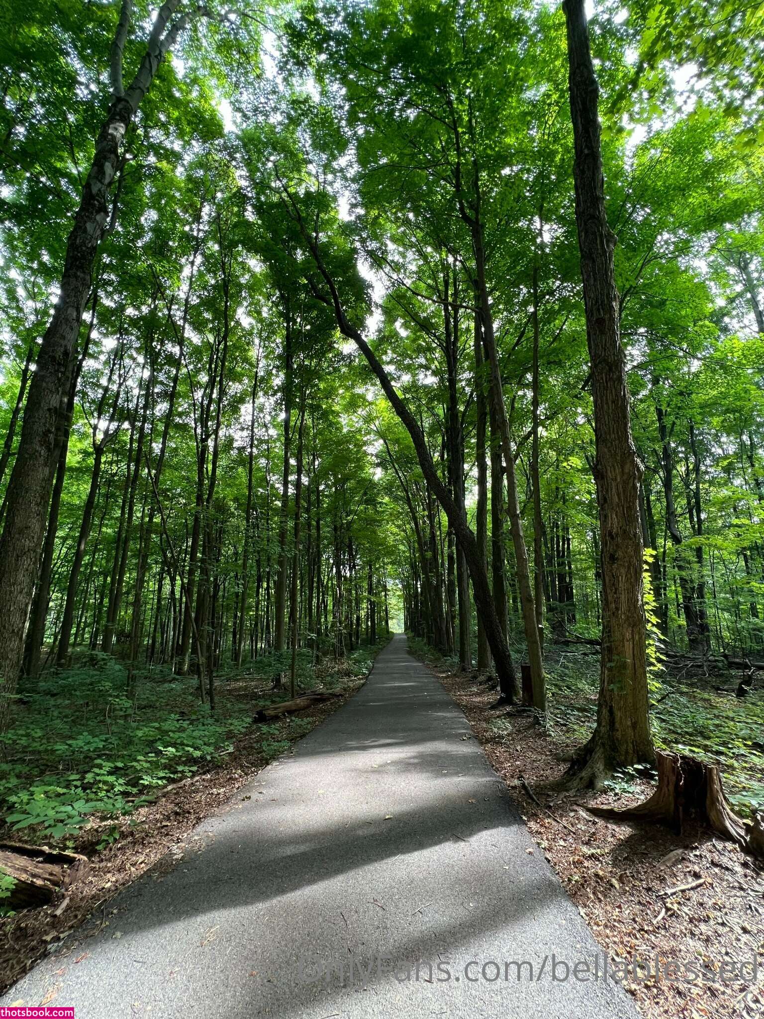 Bella Blessed DivineGoddessBellaB Nude OnlyFans Photos #8 987041