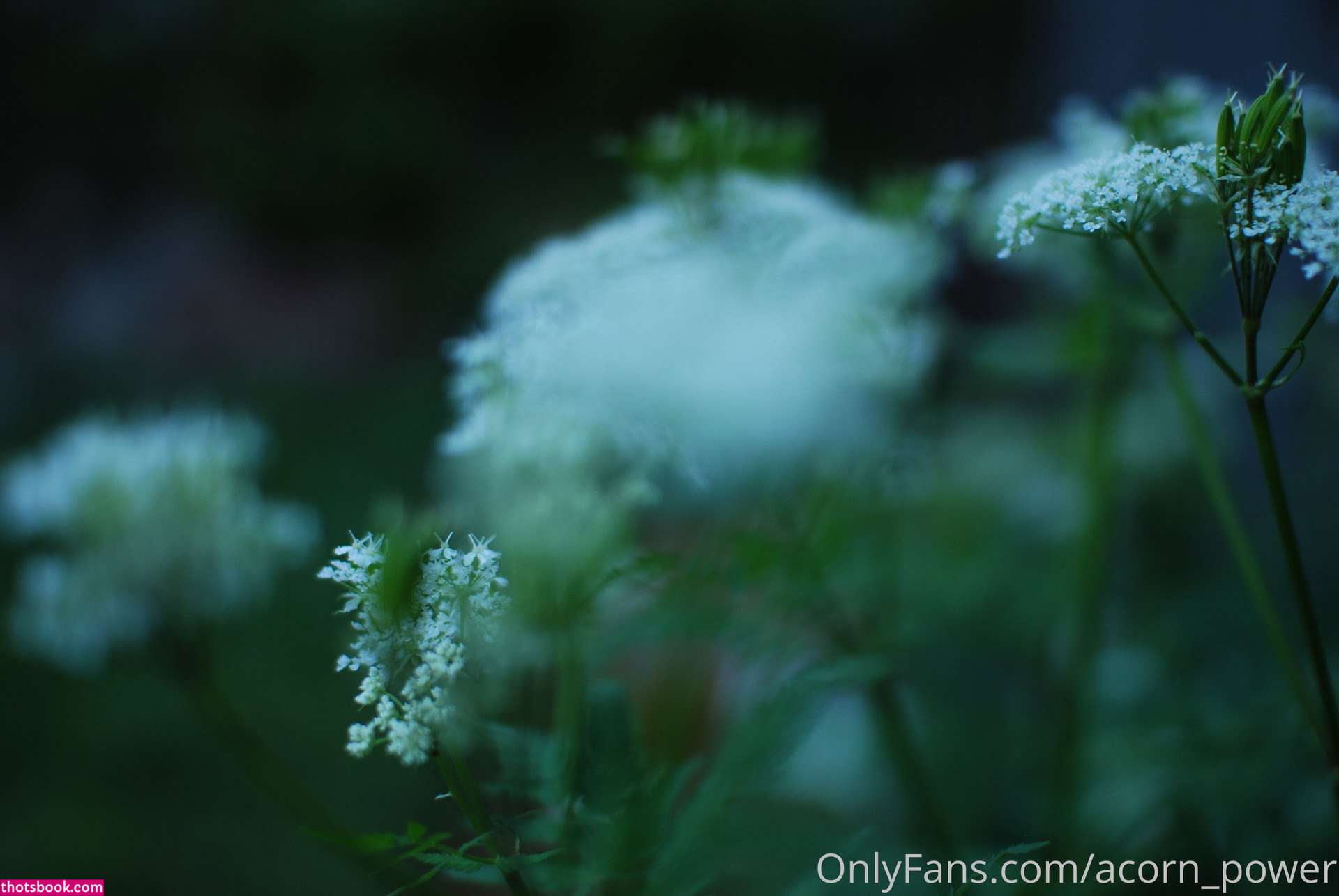 Claire Moulin Nude OnlyFans Photos #15 989968