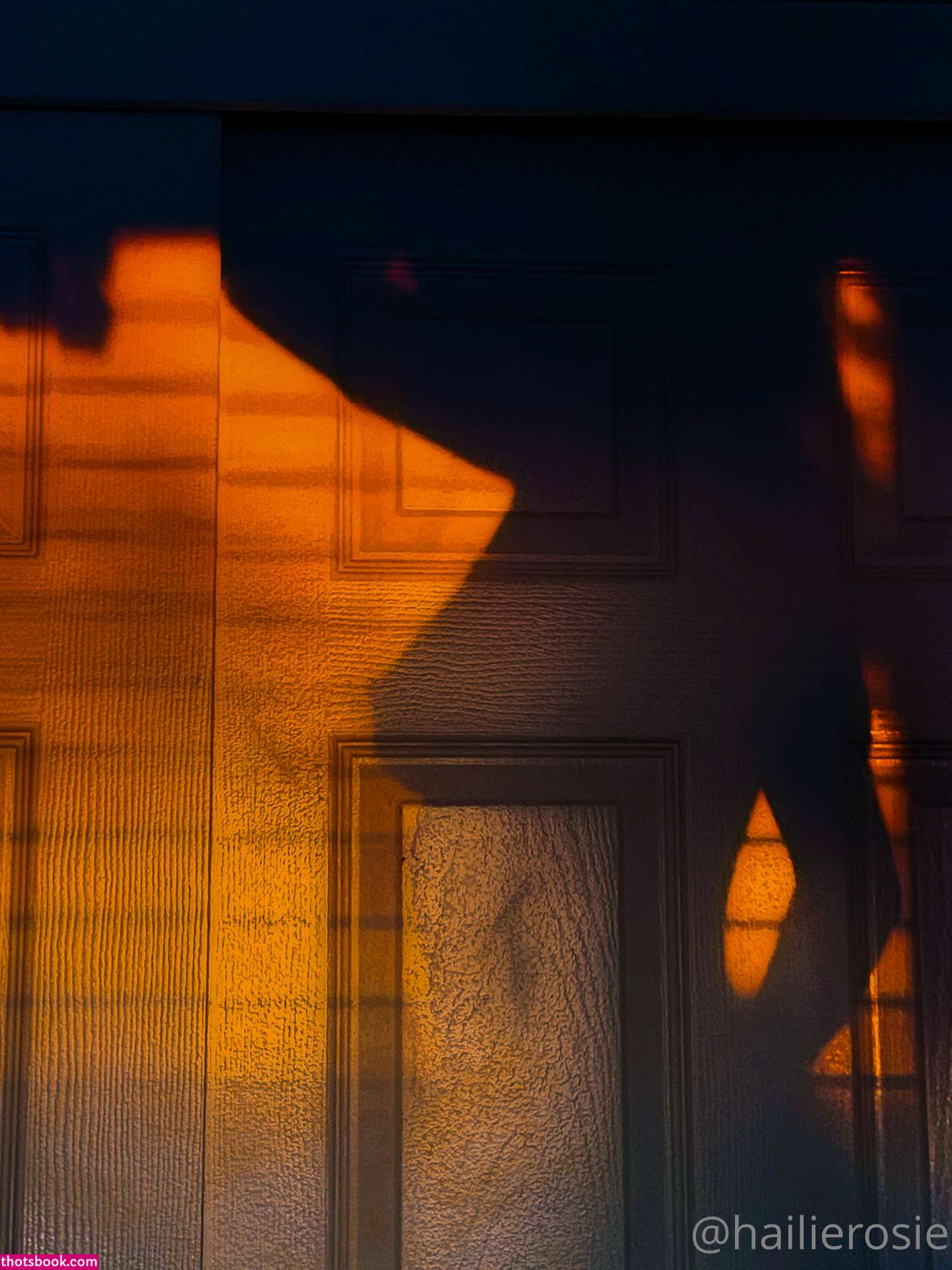 Hailie Rosie Nude OnlyFans Photos #1 991414