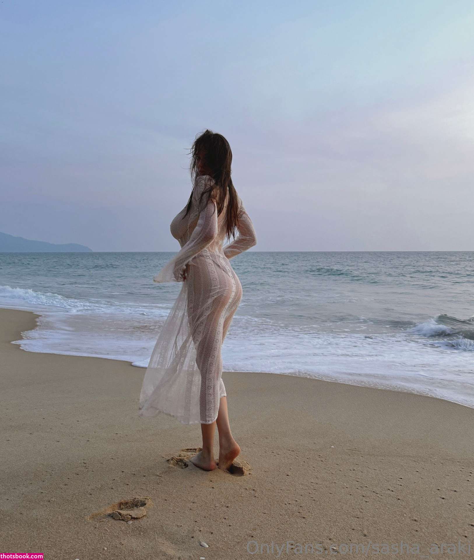 Sasha Hu Nude OnlyFans Photos #11 1027957