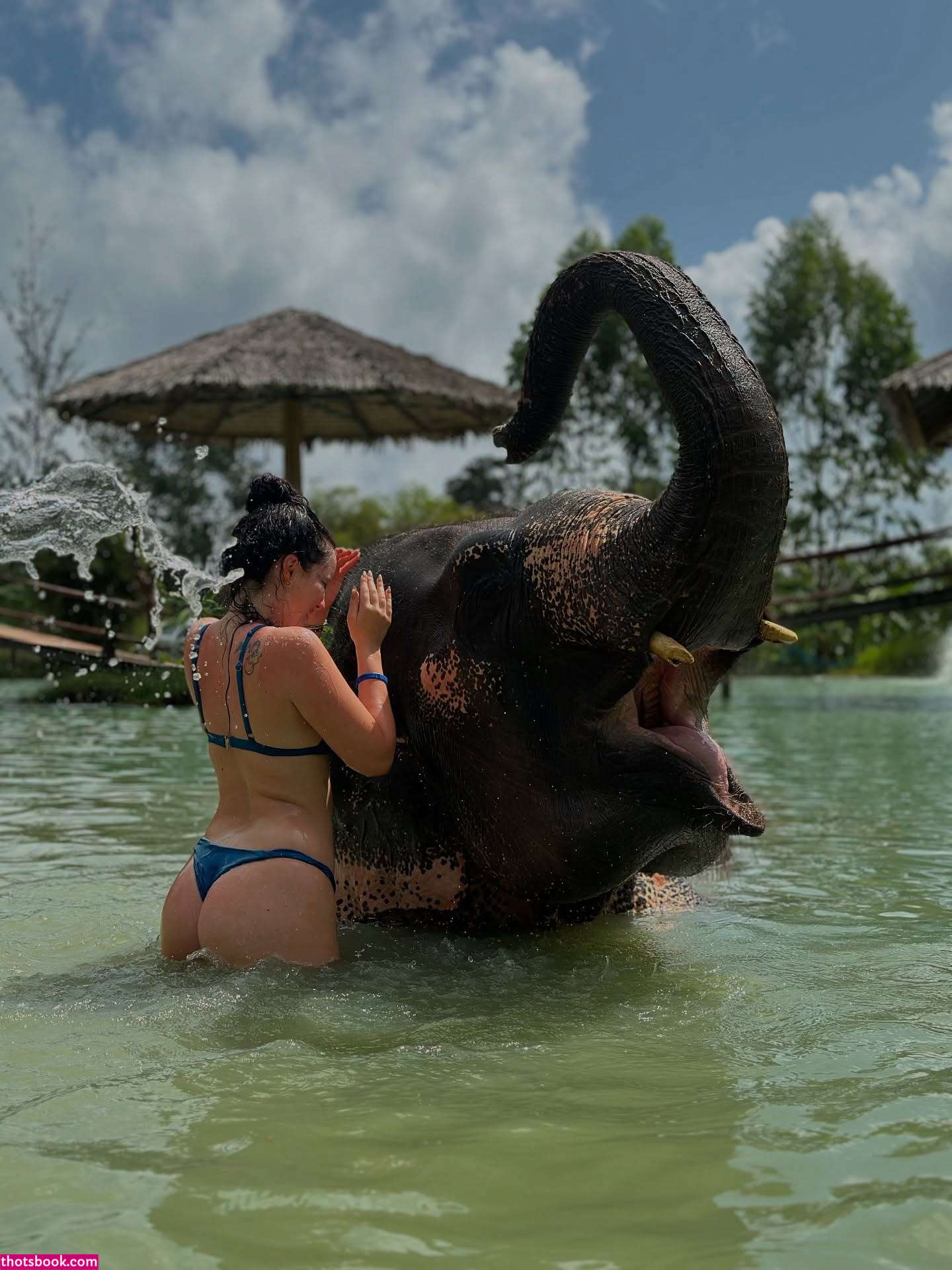 Hotblockchain Emily Cocea cryptobaddie1 Nude Leaks OnlyFans Photos #10 1734402