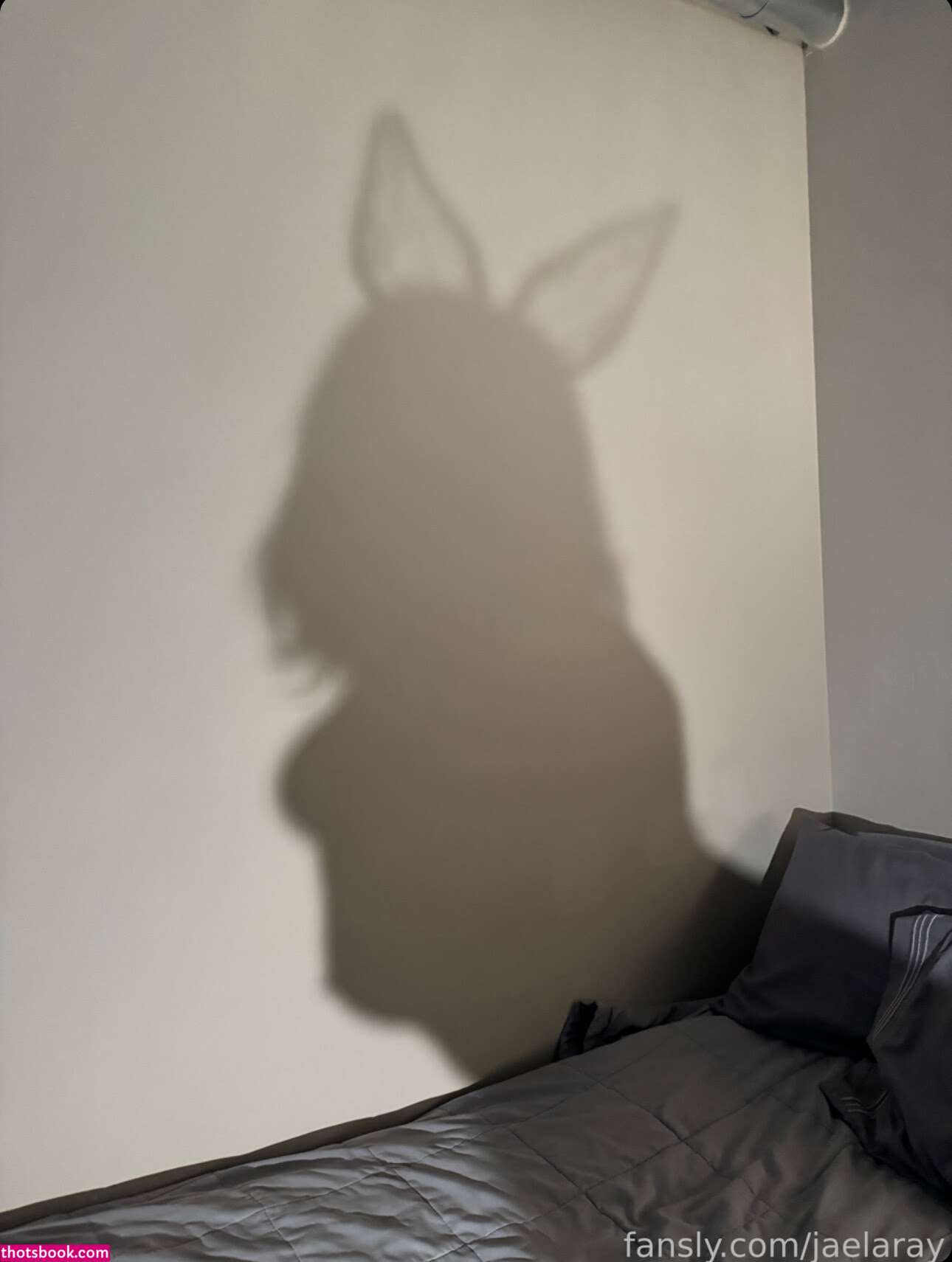 Jaelaray Nude Leaks OnlyFans Photos #20 1734514