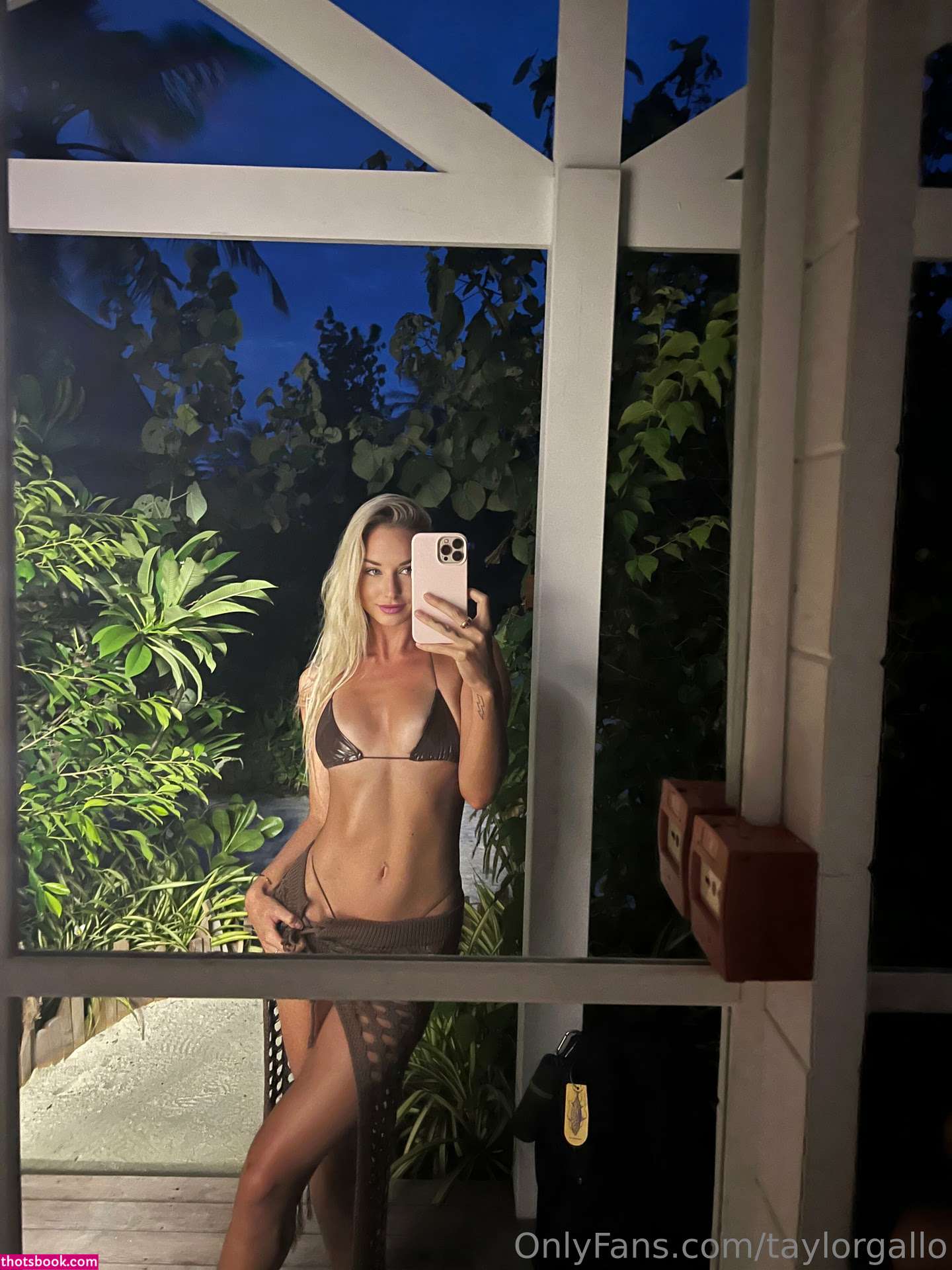 Taylor Gallo Nude OnlyFans Photos #8 420602