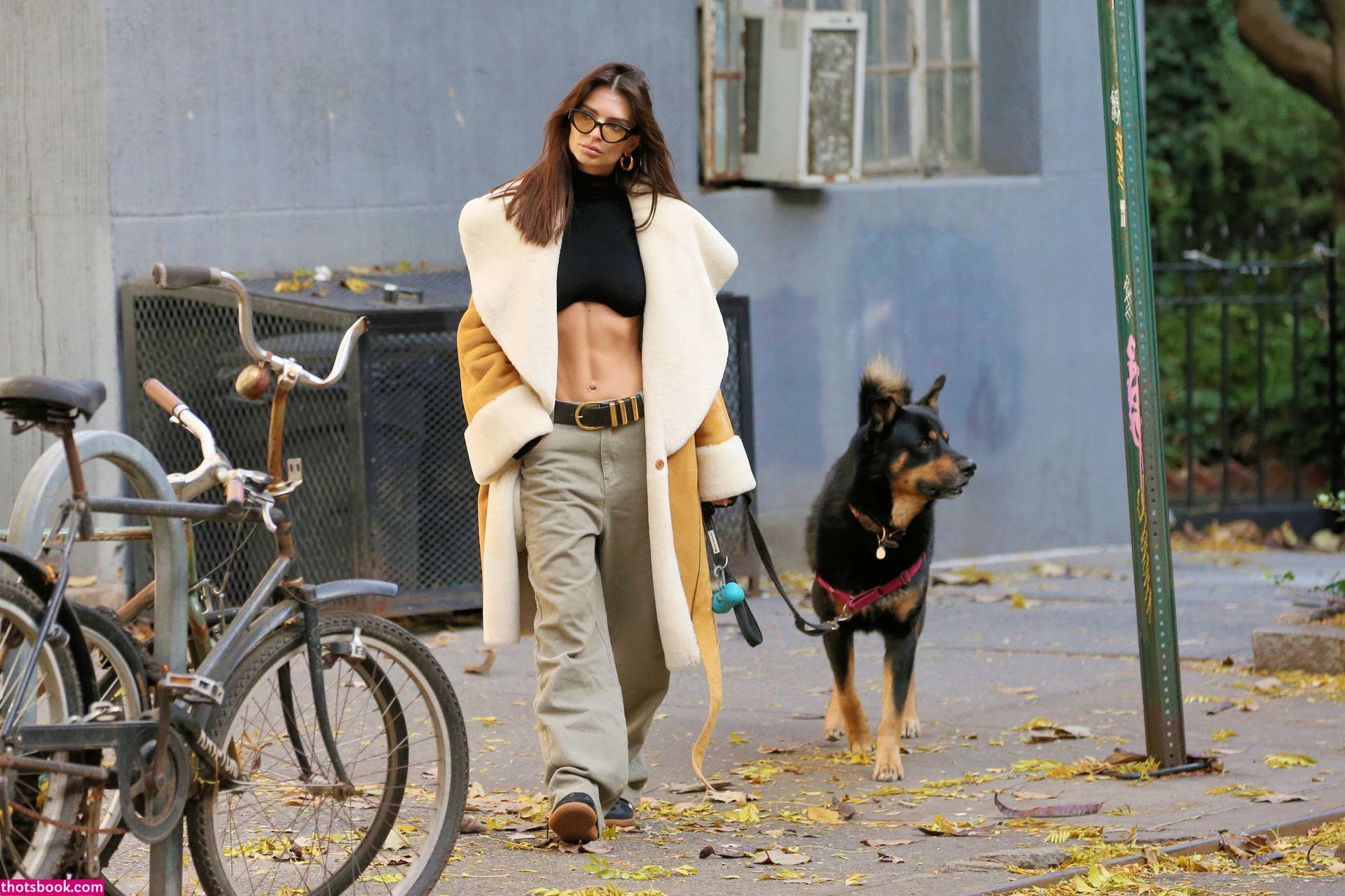 Emily Ratajkowski Nude OnlyFans Photos #15 433847