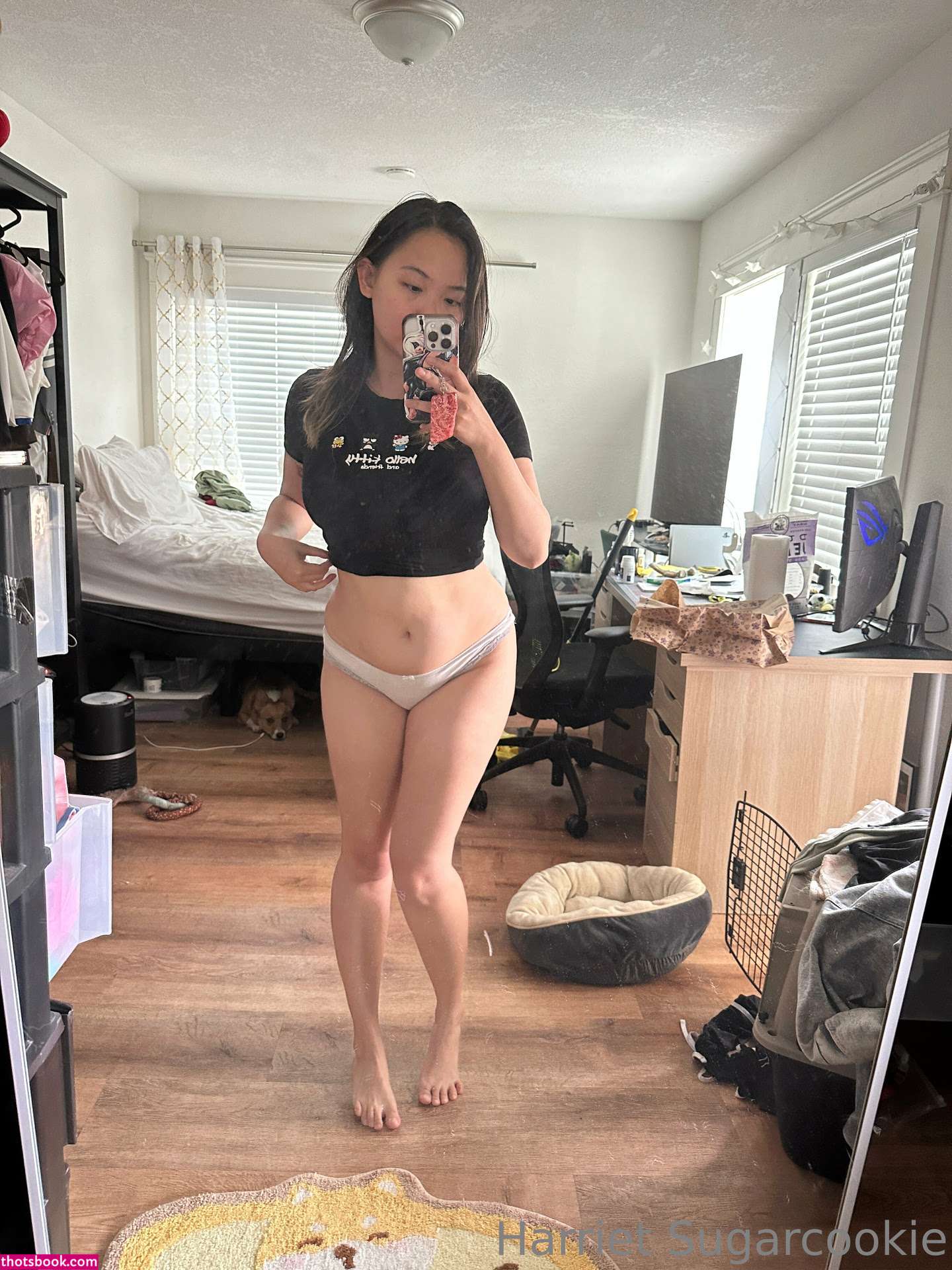 Harriet Sugarcookie Nude OnlyFans Photos #18 439669