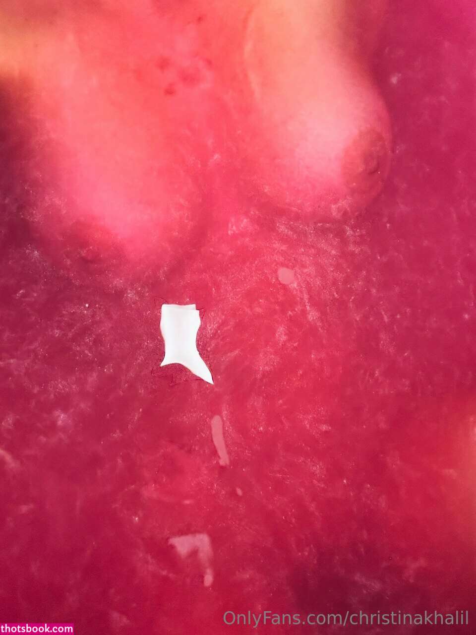 Christina Khalil Nude OnlyFans Photos #23 454600