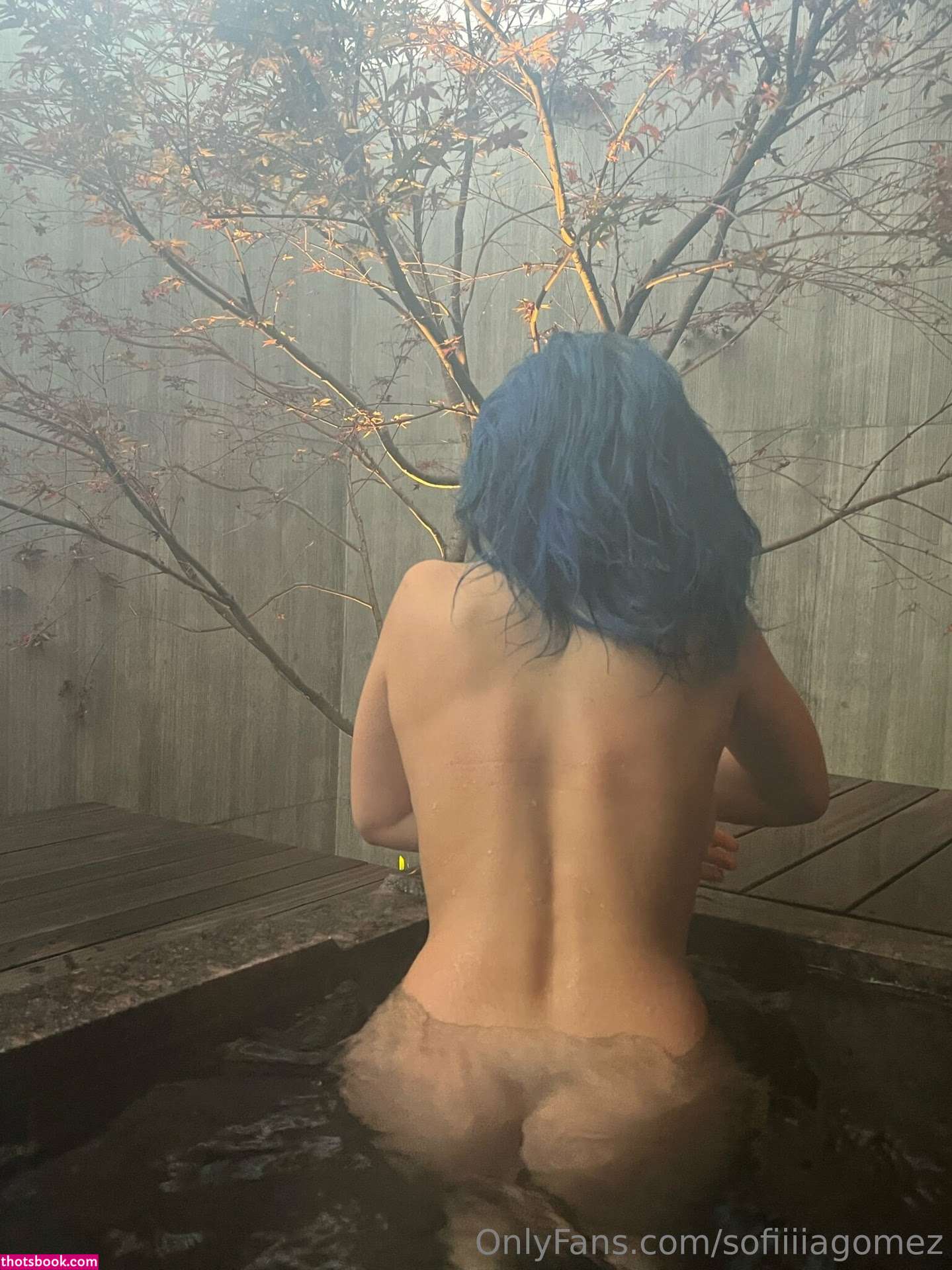 Sofia Gomez Sofiiiagomez Nude OnlyFans Photos #30 427294