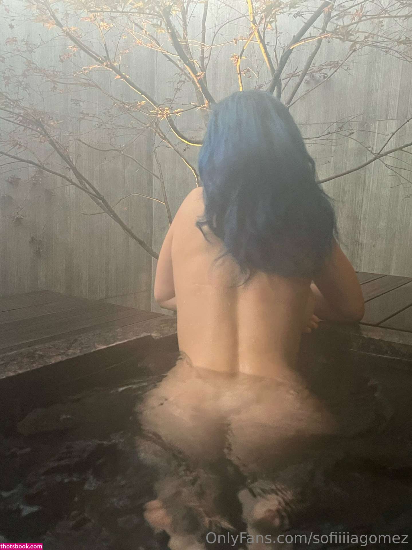 Sofia Gomez Sofiiiagomez Nude OnlyFans Photos #30 427297