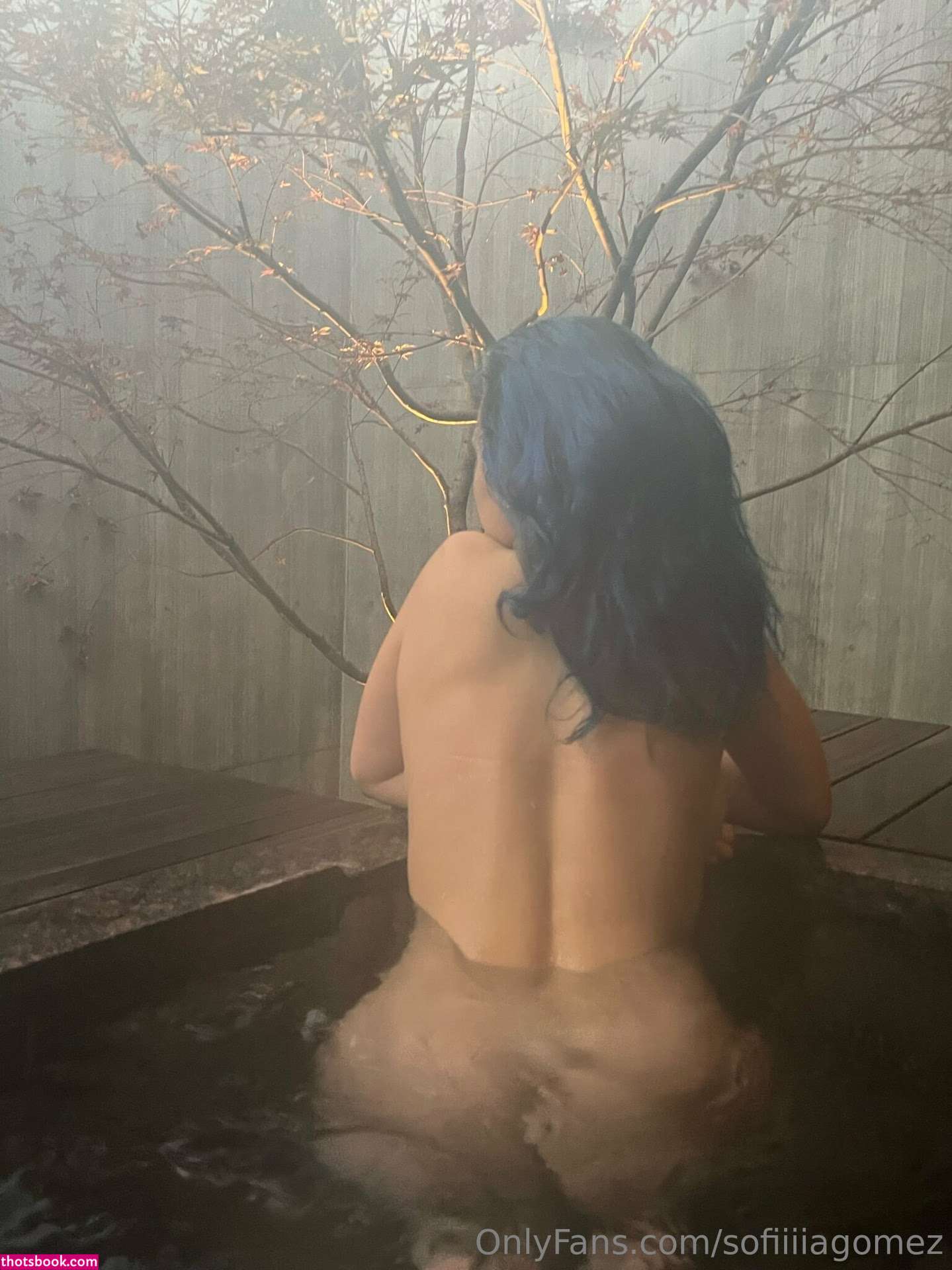 Sofia Gomez Sofiiiagomez Nude OnlyFans Photos #30 427304