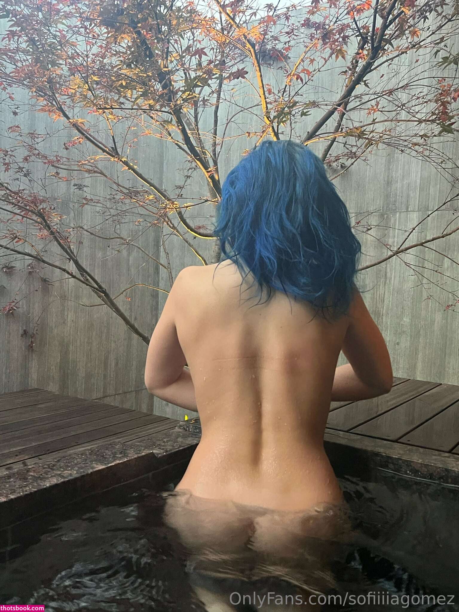 Sofia Gomez Sofiiiagomez Nude OnlyFans Photos #30 427305