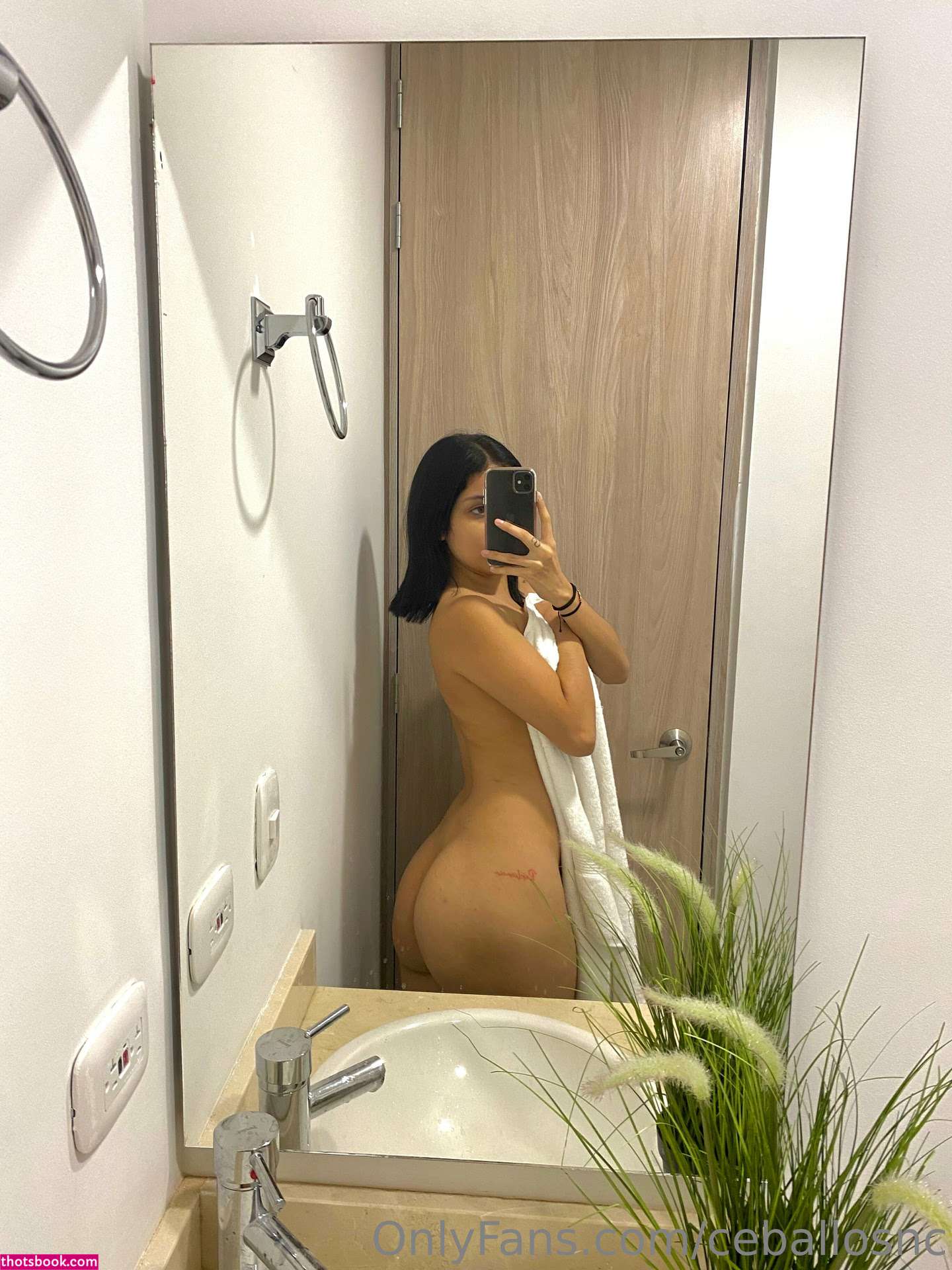 Nicole Ceballoss Nude Leaks OnlyFans Photos #13 1307039