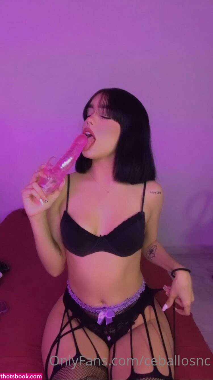 Nicole Ceballoss Nude Leaks OnlyFans Photos #13 1307041