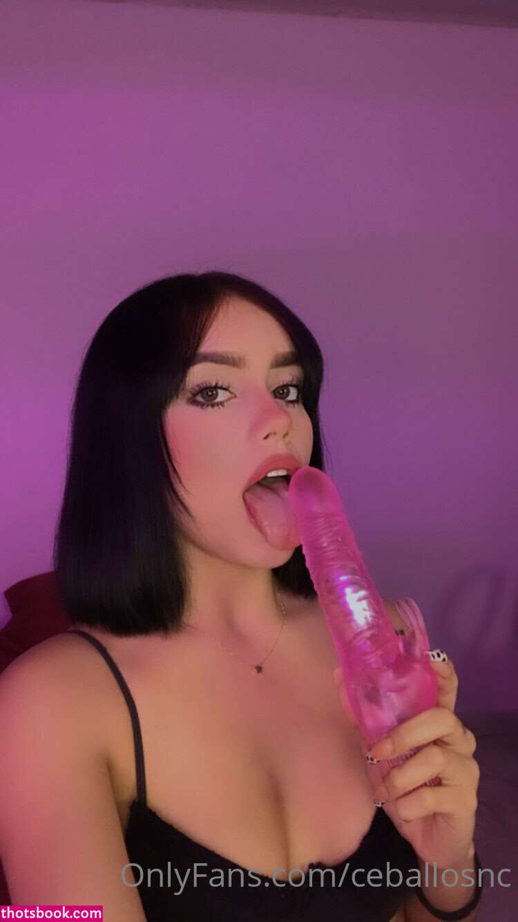 Nicole Ceballoss Nude Leaks OnlyFans Photos #14 1307042